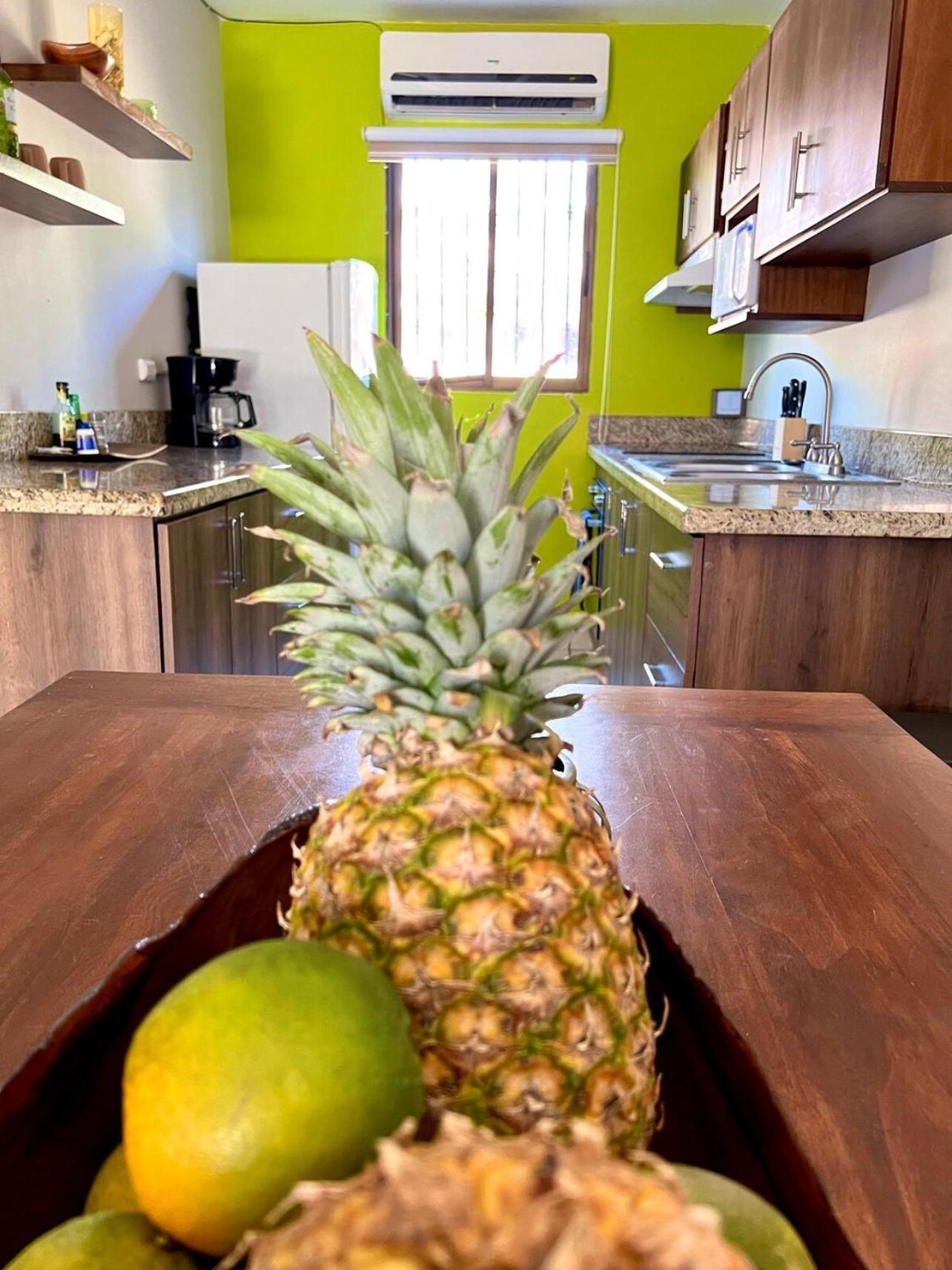 Green Turtle Paradise Ground Floor Condo