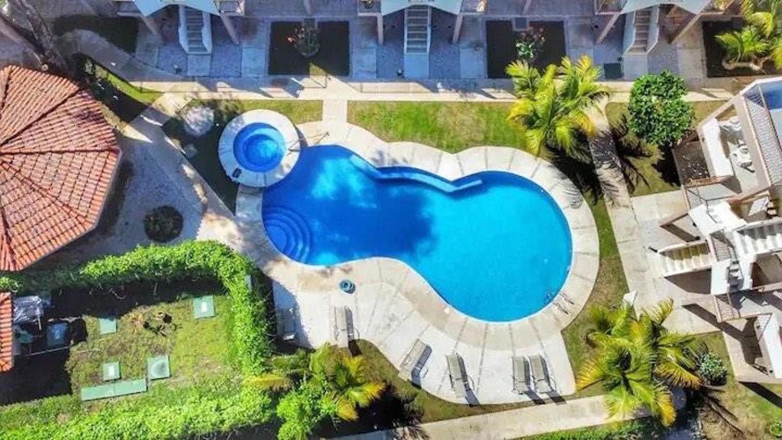 Parakeet Paradise 2nd floor Condo with Rooftop