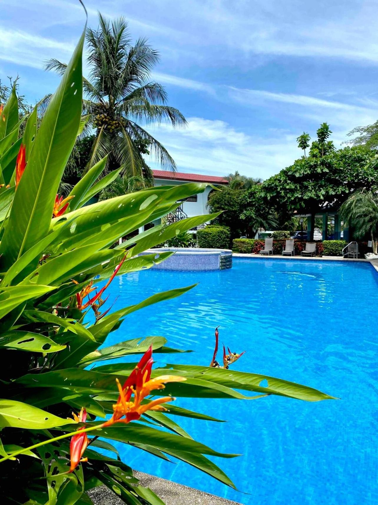 Turquoise Deep Dive Single Storey Condo