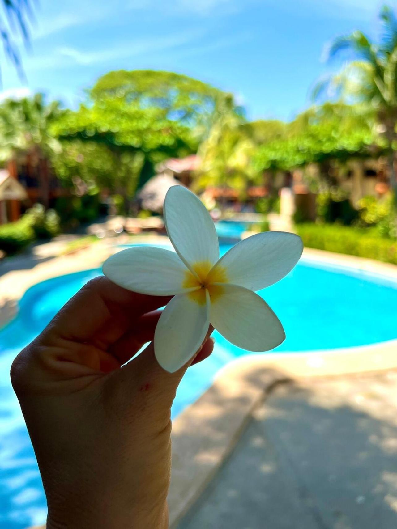 Cocomarindo Comfort Condo