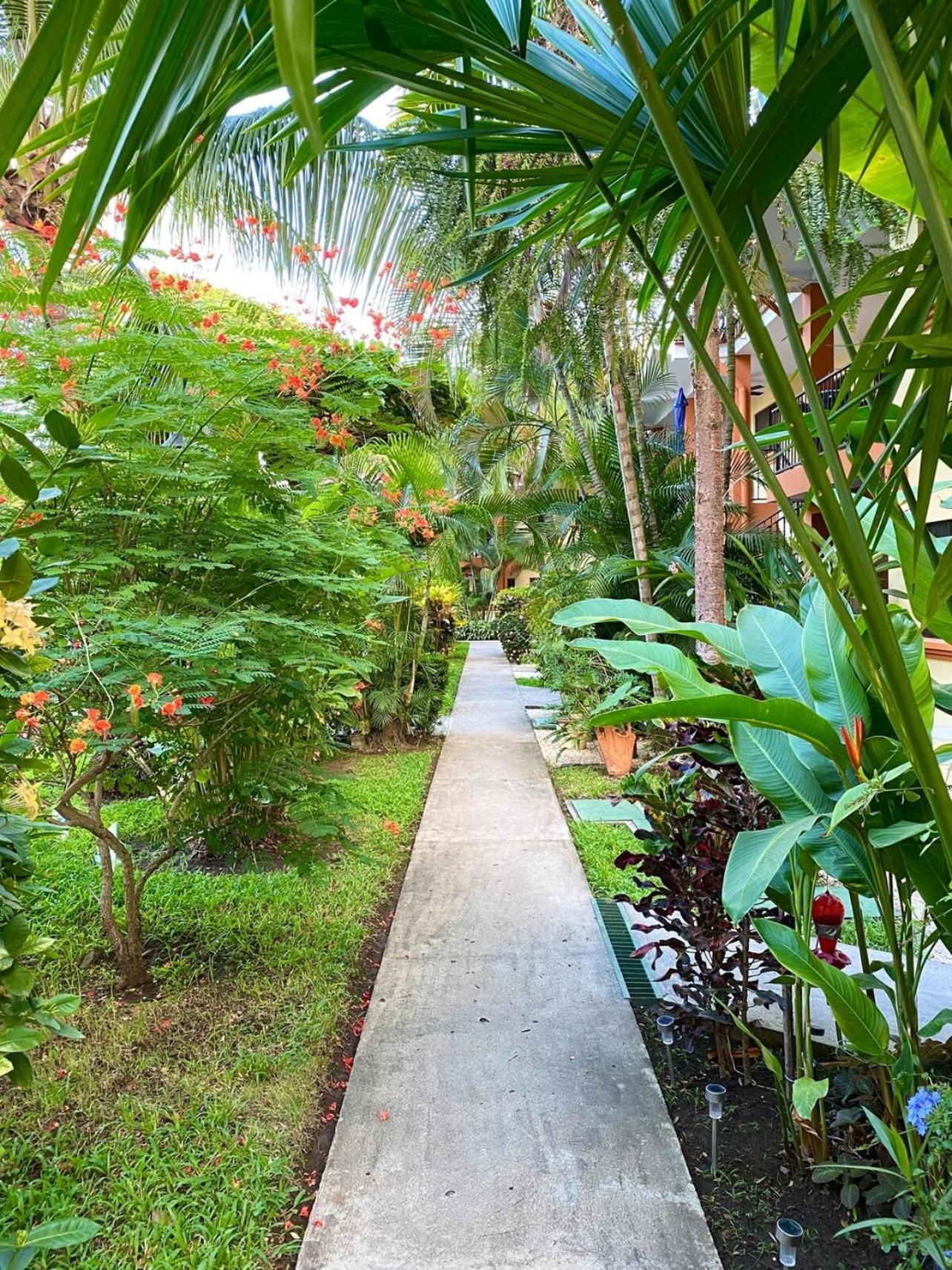 Cocomarindo Comfort Condo