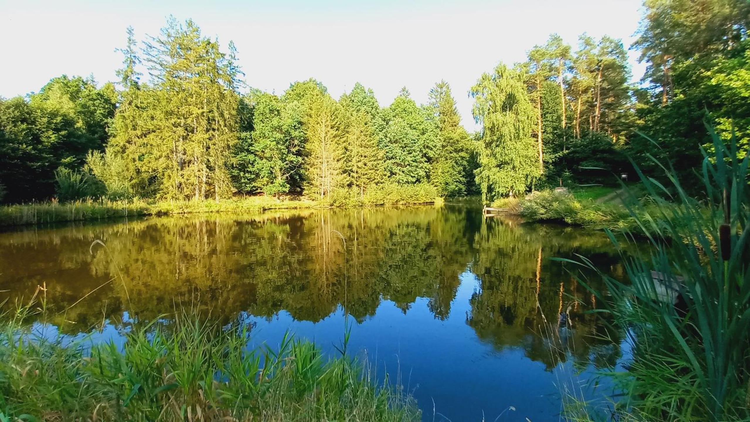 Modletice Apartmán u řeky Thaya Česká Kanada