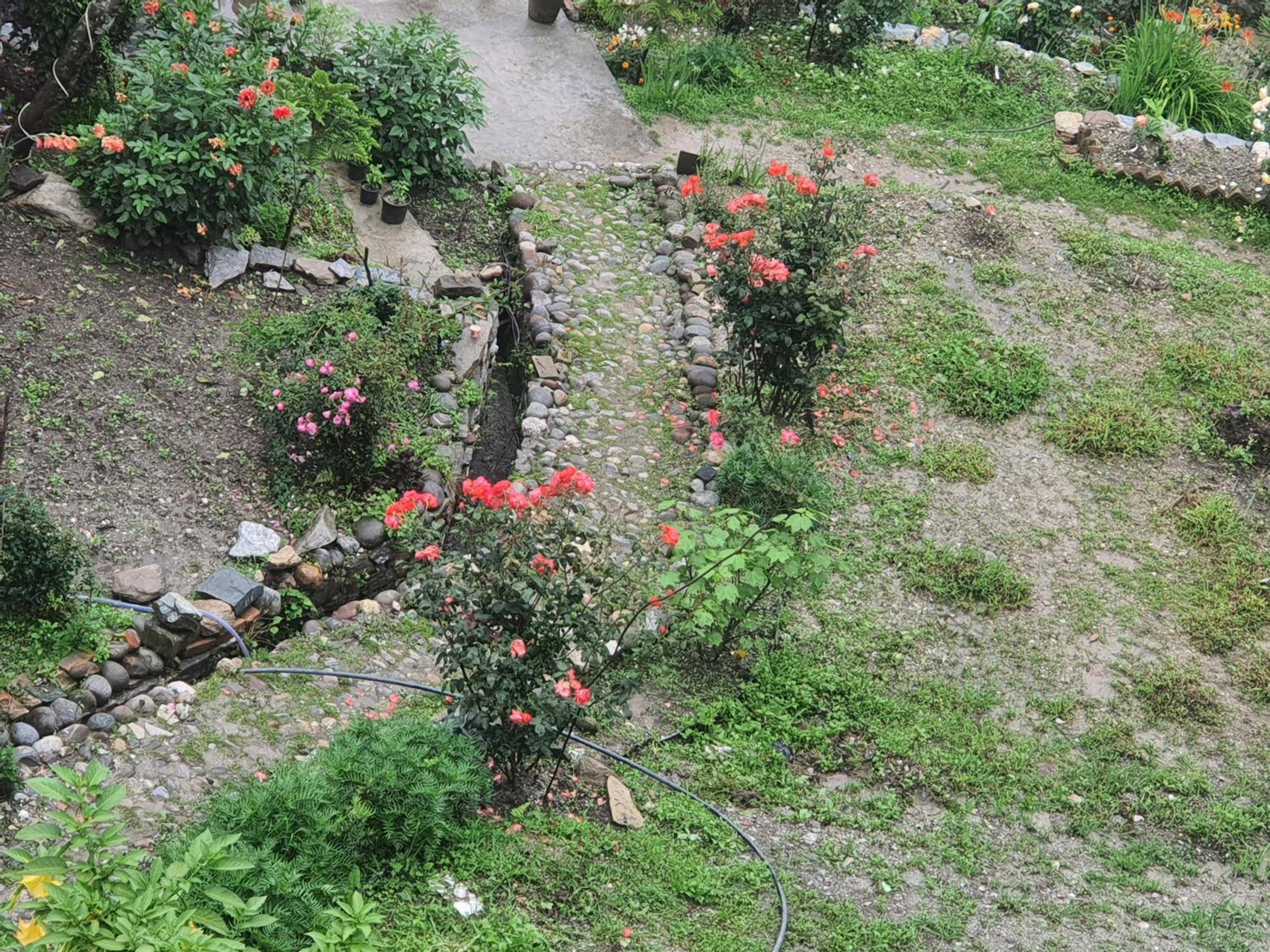 Photo 24