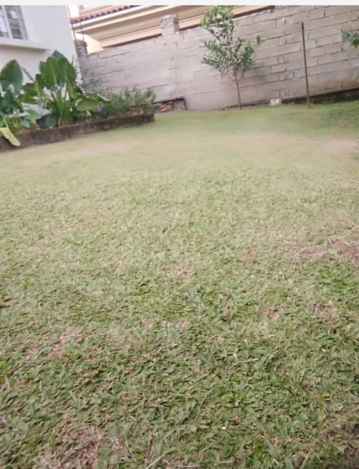Luxury 2 bedroom house in Ministers Village view 4