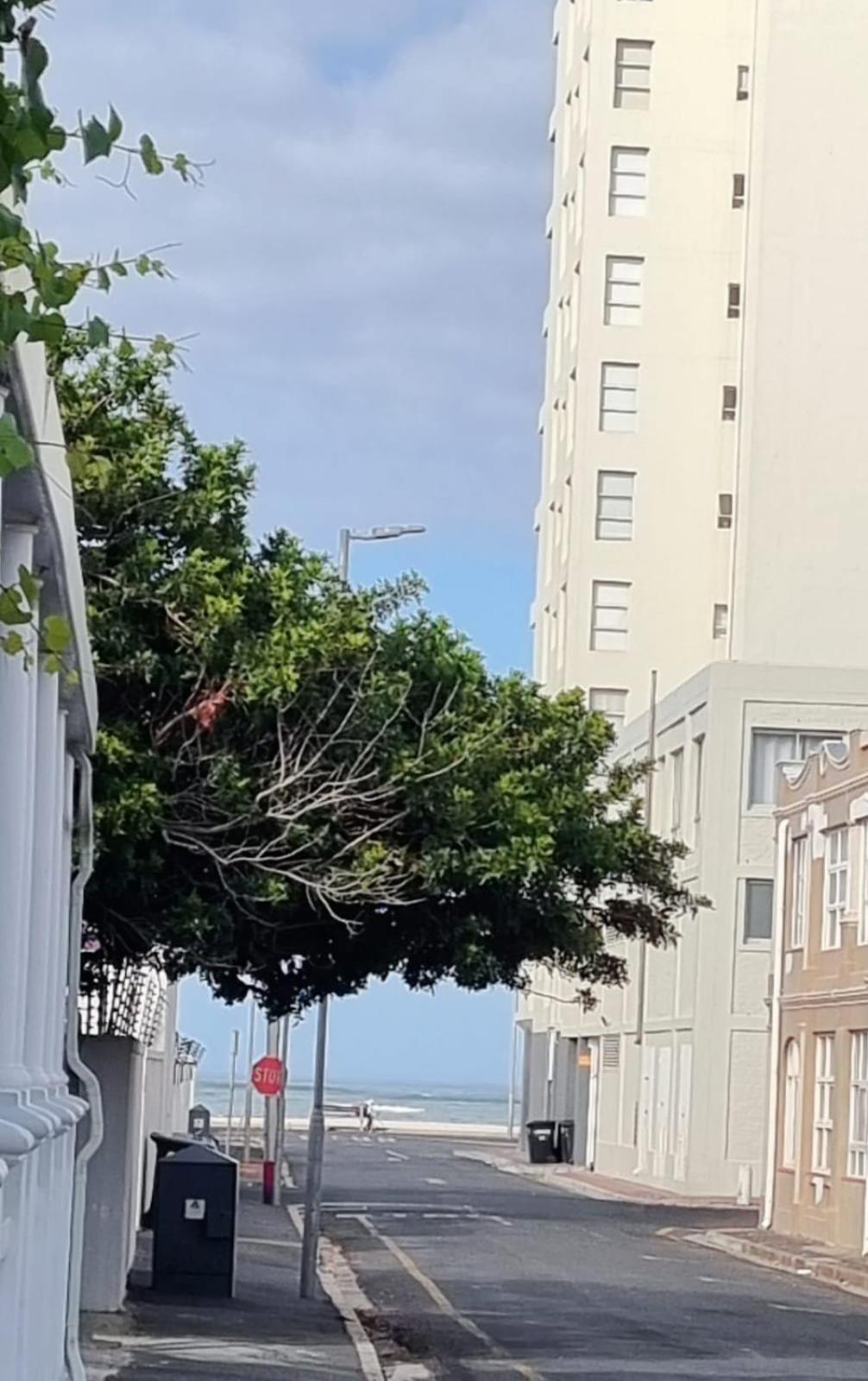 Self-Catering Apartment near beach view 2