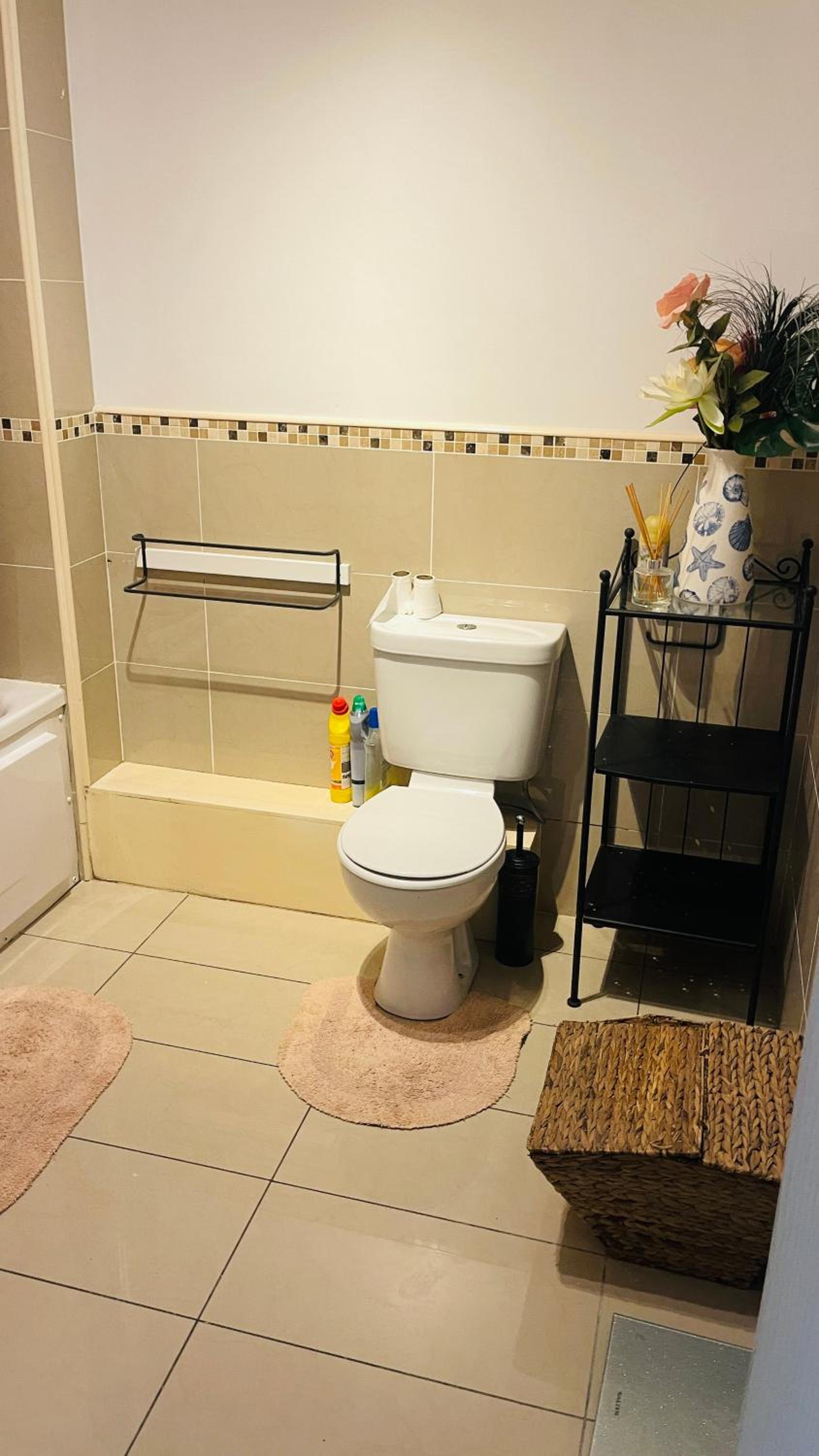 Entire Spacious 2 bedroom 2 bathroom apartment