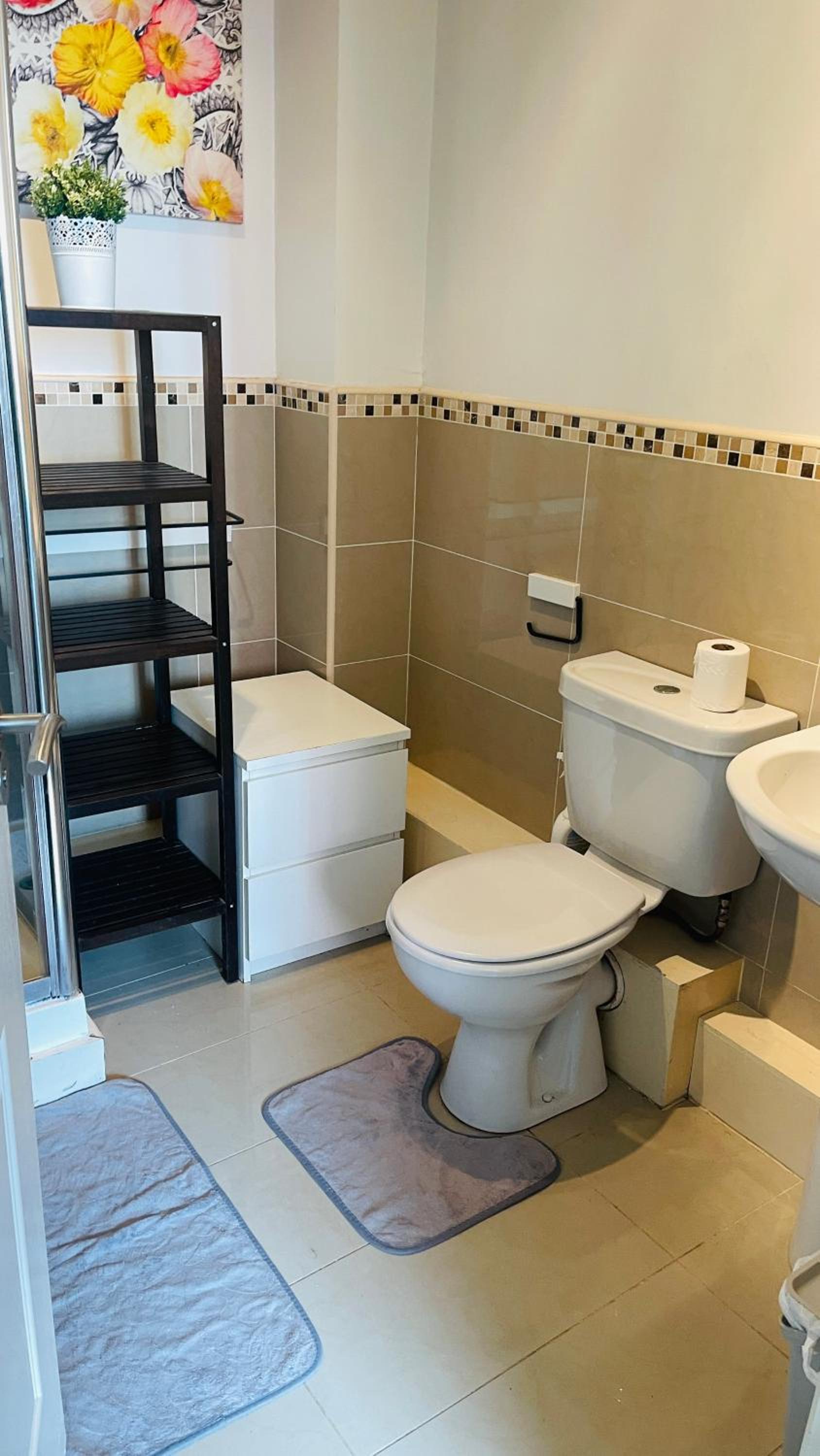 Entire Spacious 2 bedroom 2 bathroom apartment
