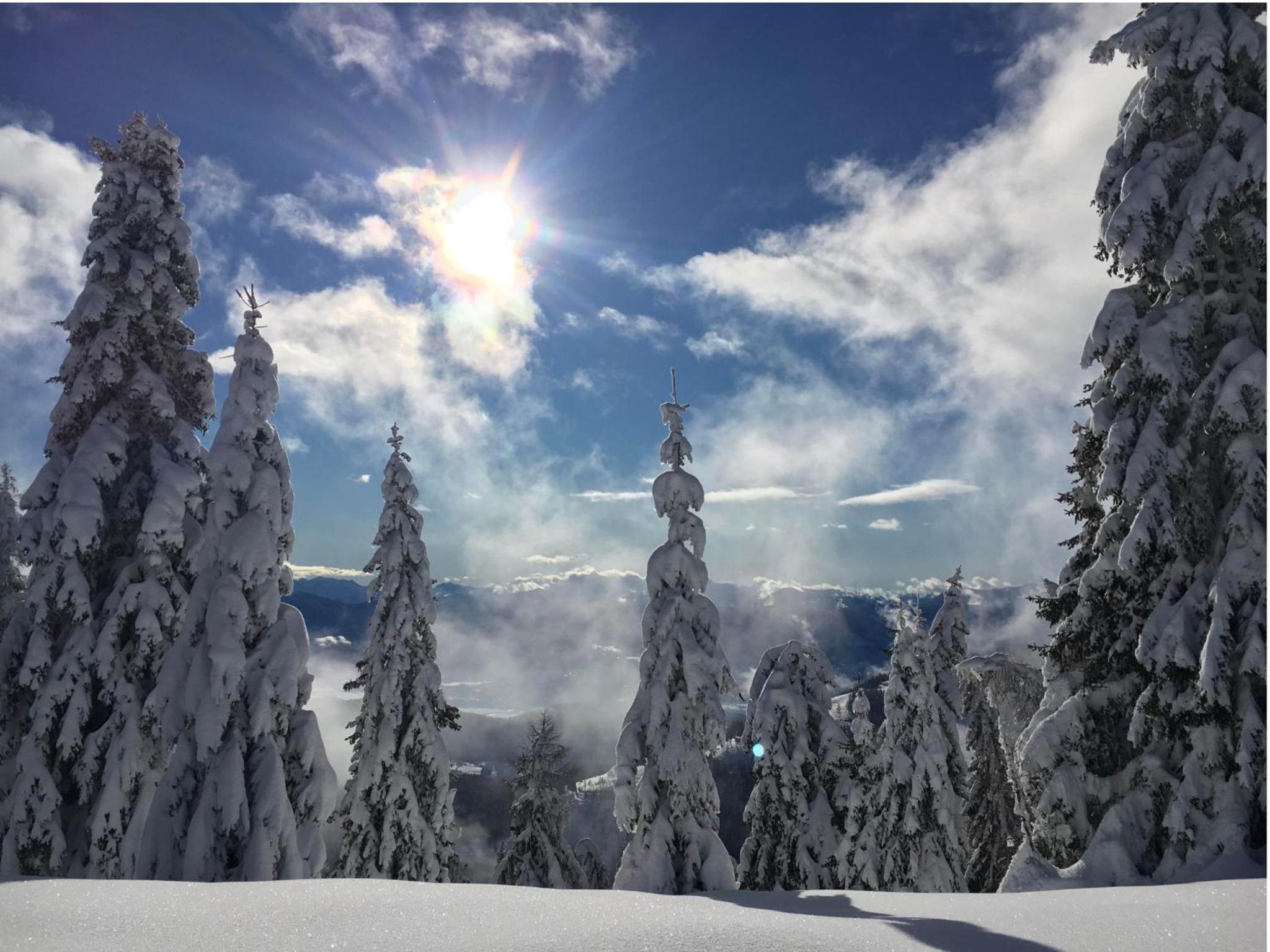 Chalet Almhaus Strobl