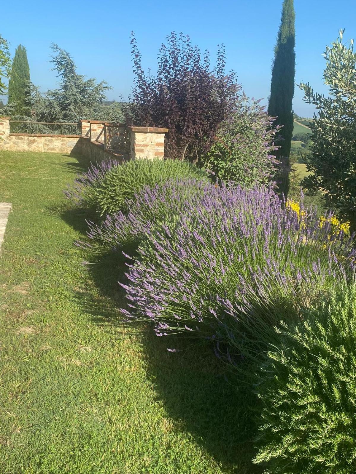 Podere Cedrola