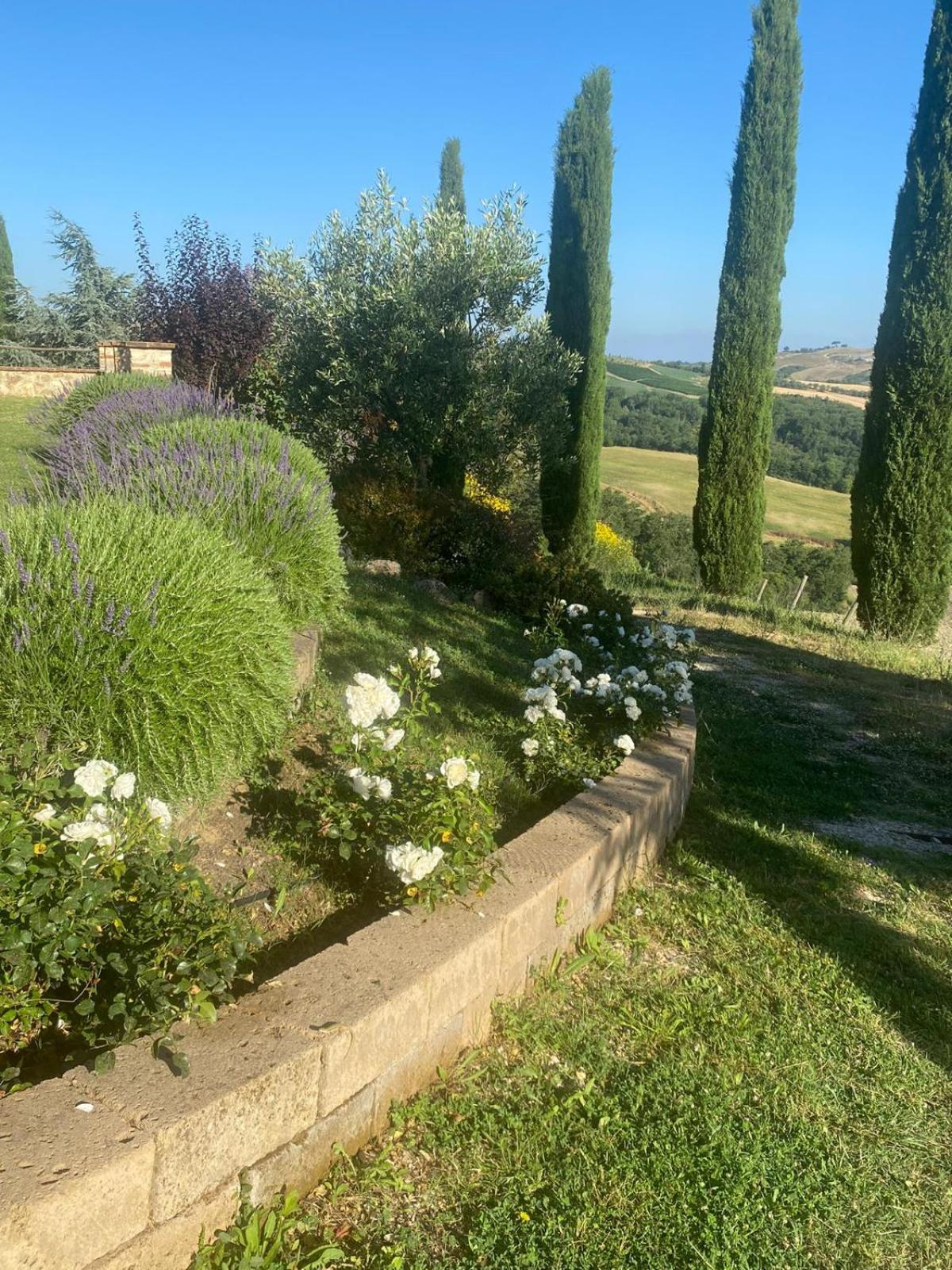 Podere Cedrola