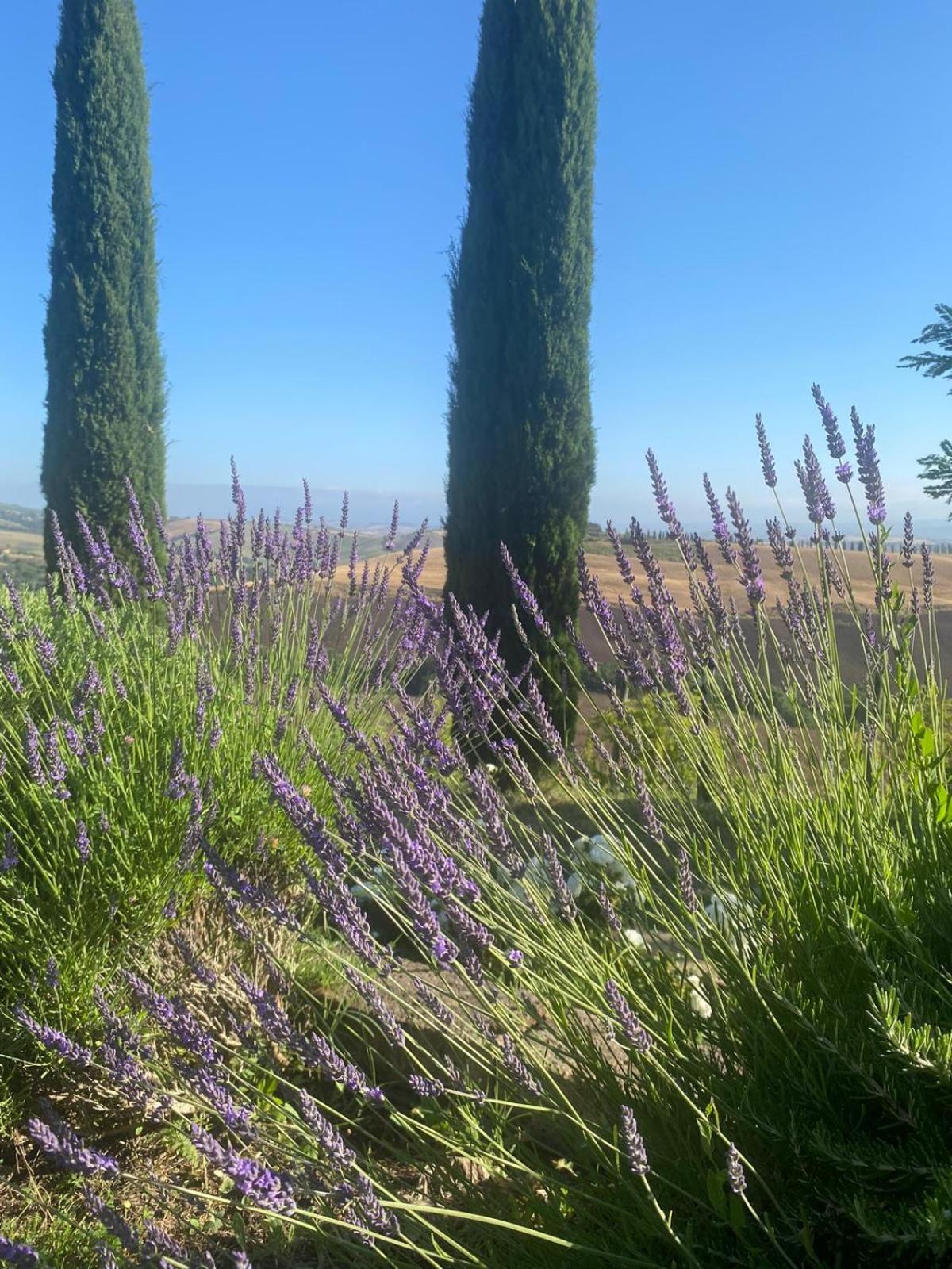 Podere Cedrola
