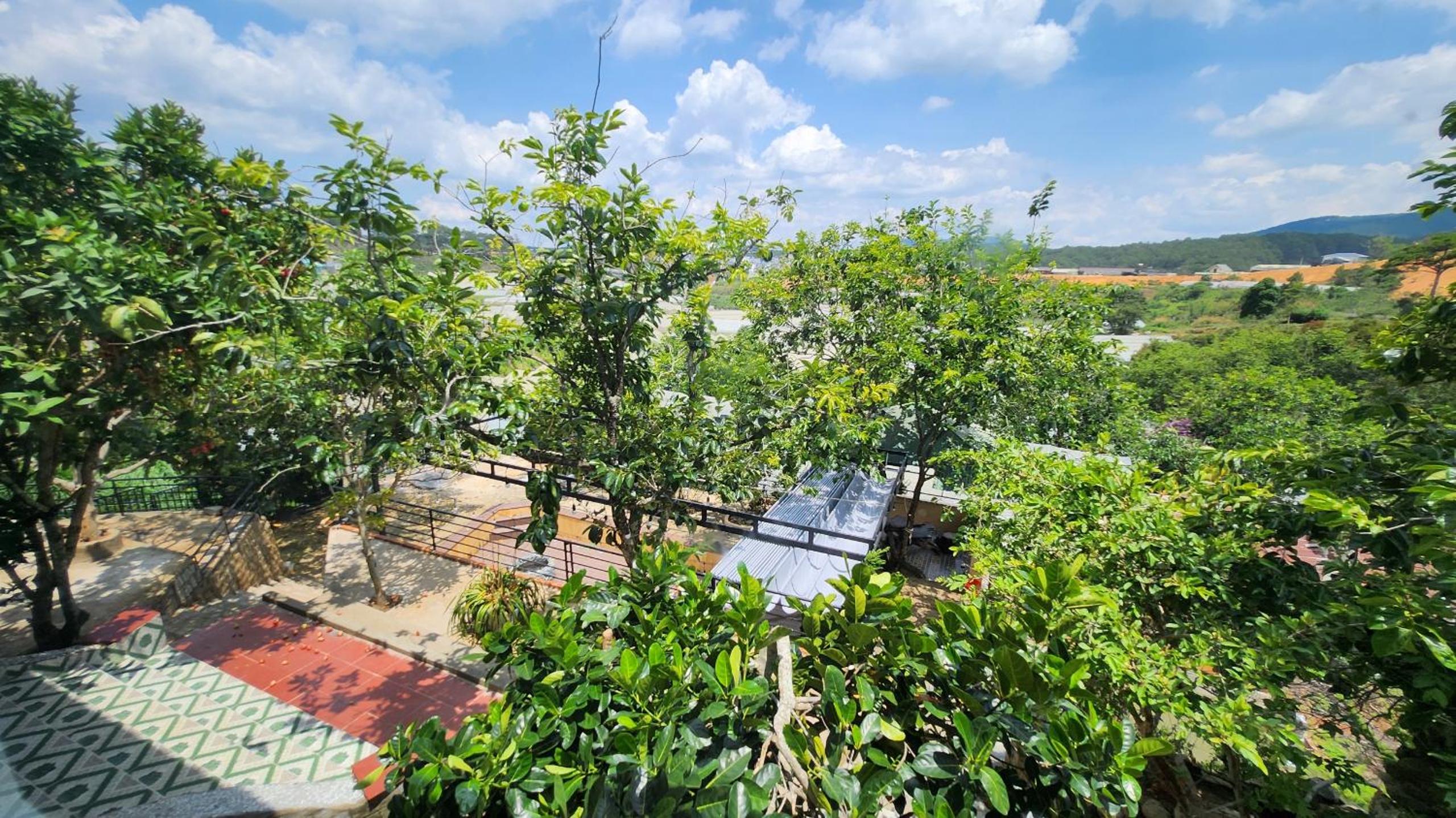 Pate's Home view 3