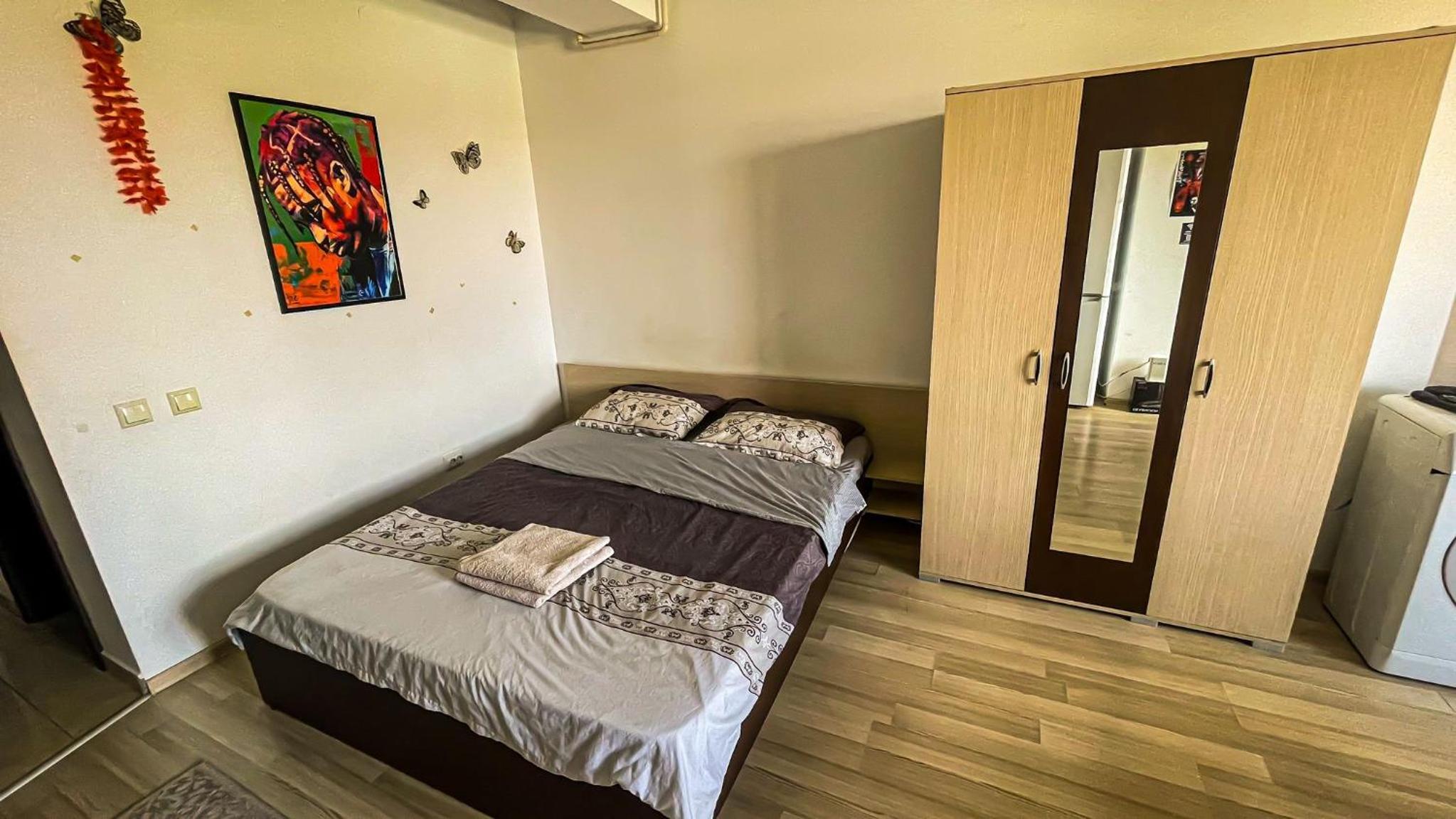 Cazare Iasi Palas Apartment view 3