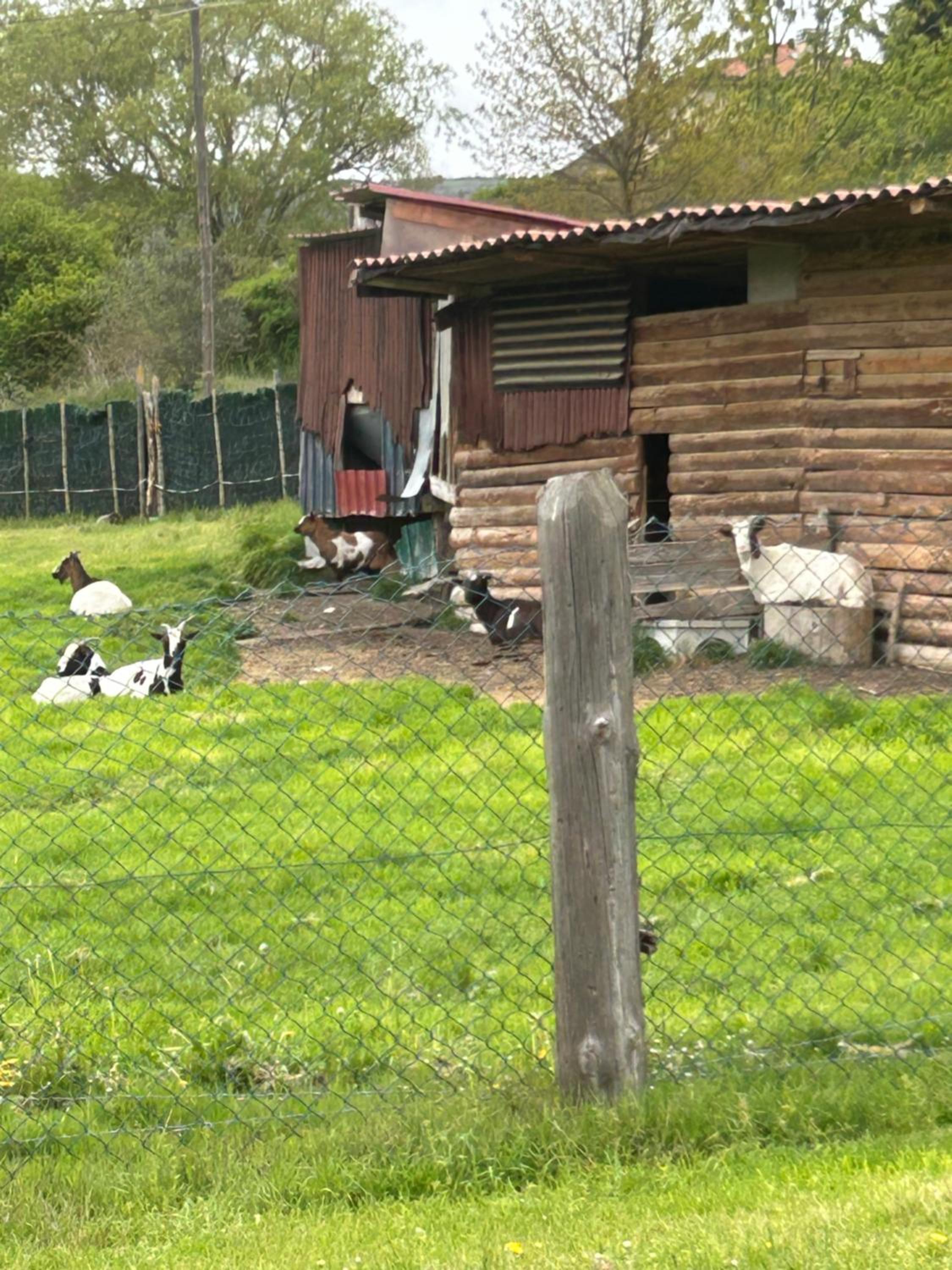 Casa Rural Sarobetxea en Larrayoz, Navarra