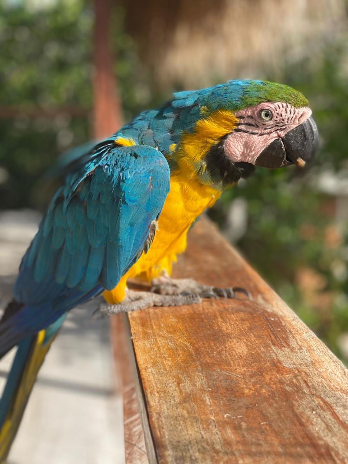 Photo 72