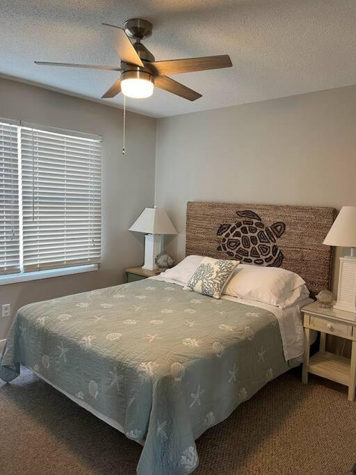 Tropic like Its Hot Oak Island Oceanfront House view 5