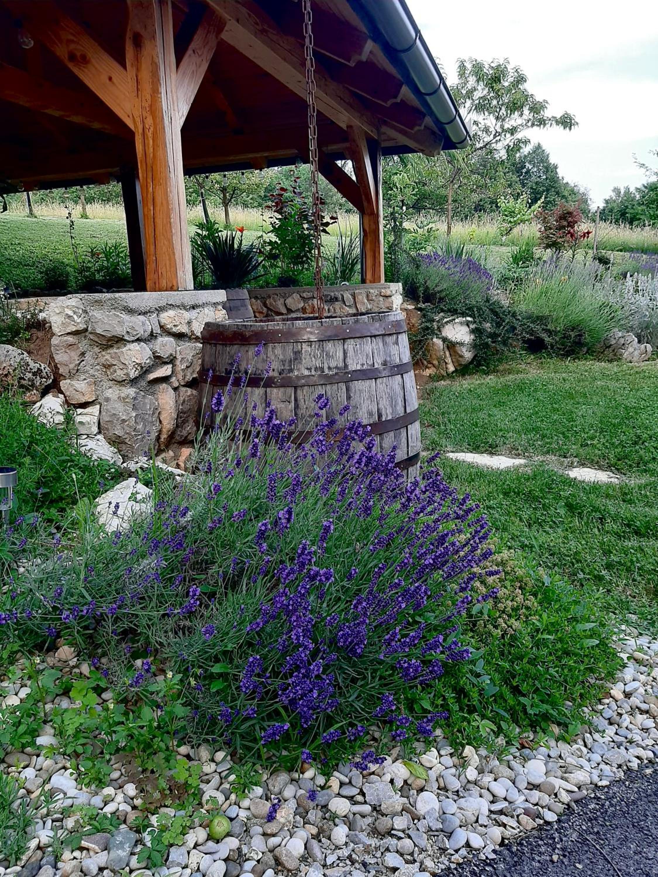 Relax house Aurora view 5