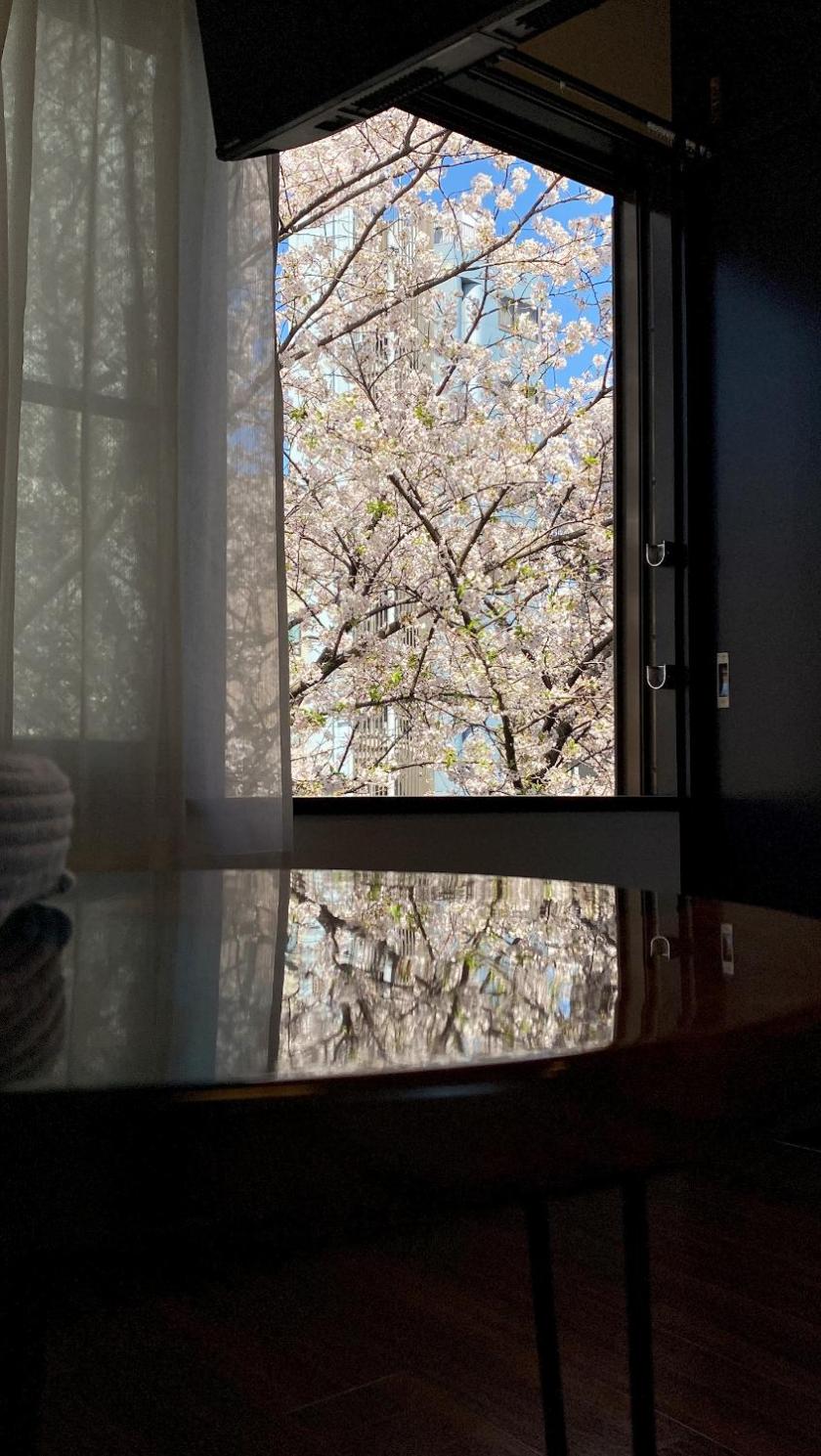Penthouse 1-bedroom flat in Hiroo Shibuya
