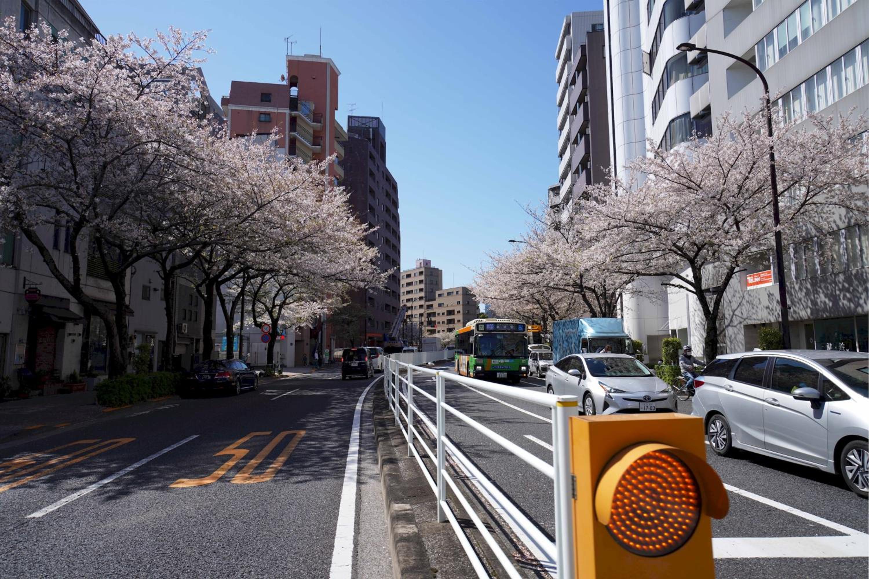 Penthouse 1-bedroom flat in Hiroo Shibuya