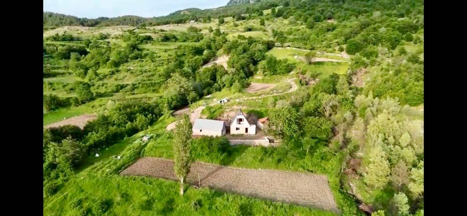 Guest house Qafe-Murrize, Tirane