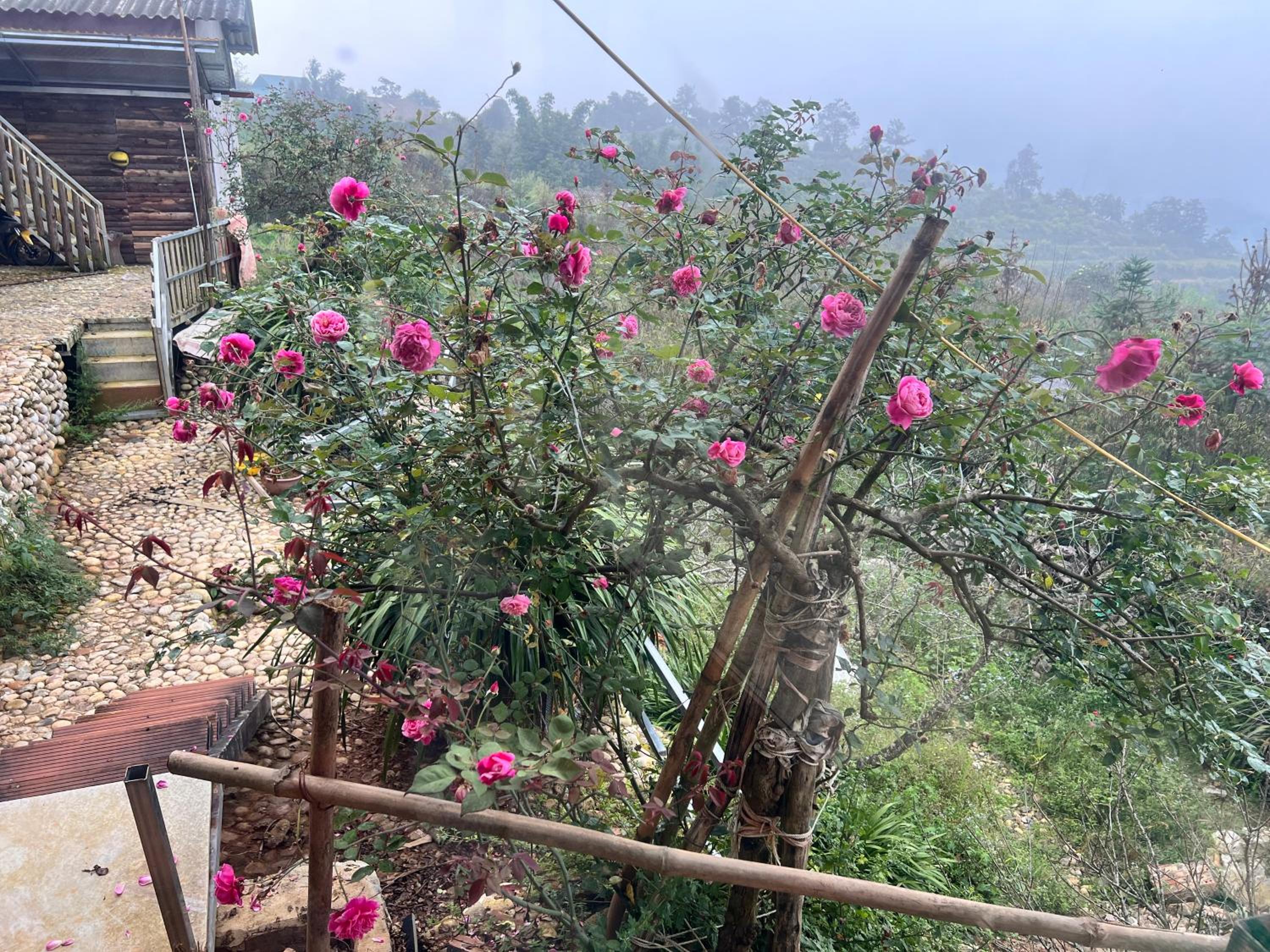H'Mong Home Sâu Chua view 2