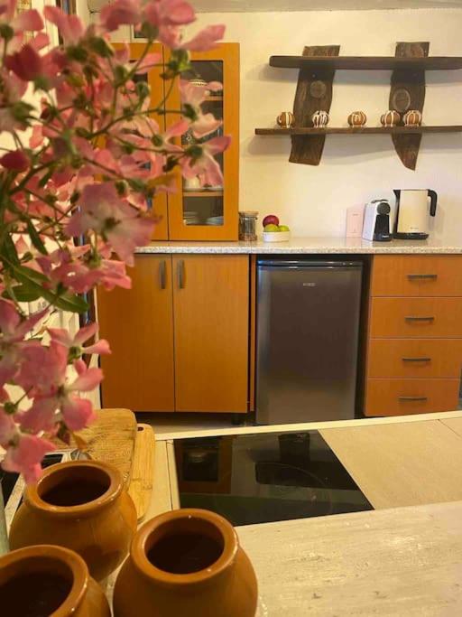 Beautiful Villa in the Rodopi Mountains