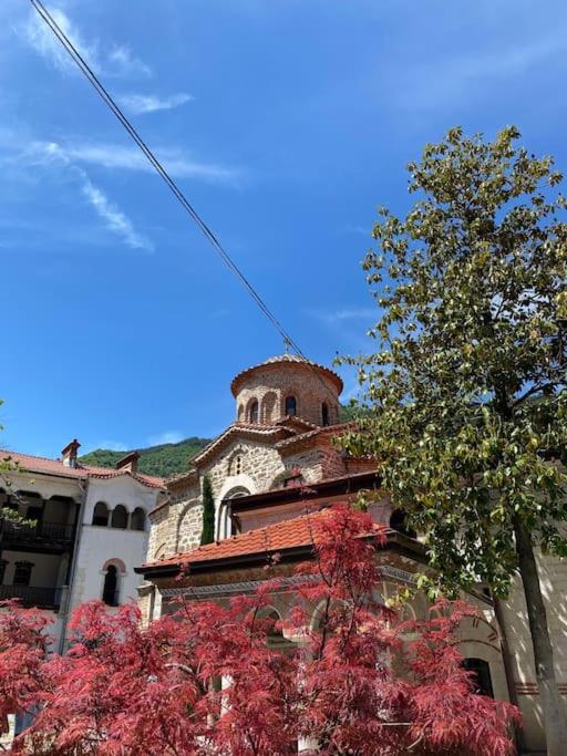 Beautiful Villa in the Rodopi Mountains