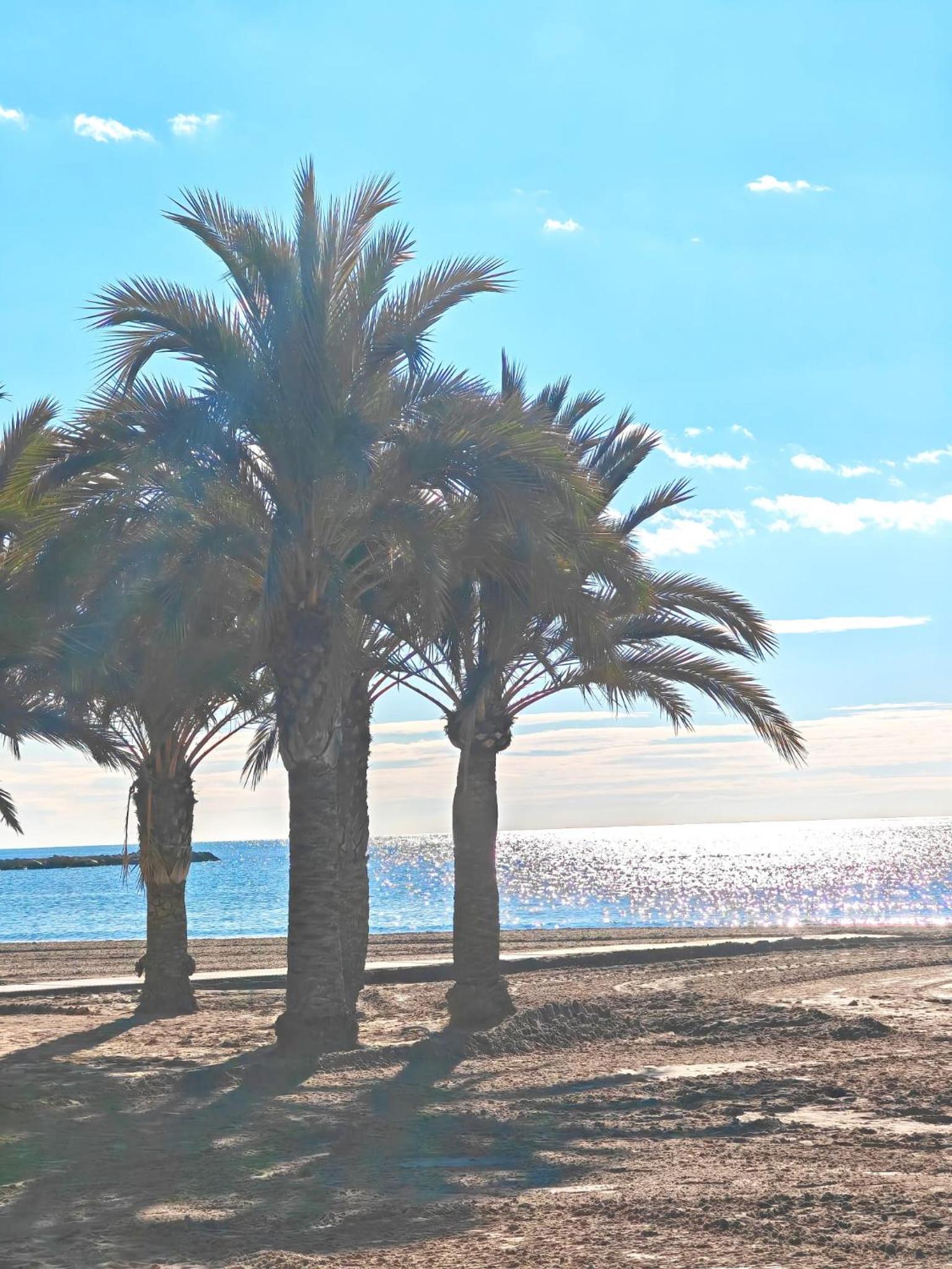 Bungalow Gaviota con playa y terraza