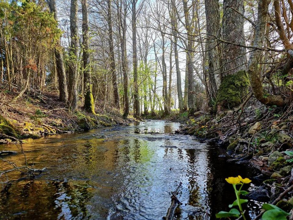Privaatne glamping, saun ja köögiga maja mere kaldal