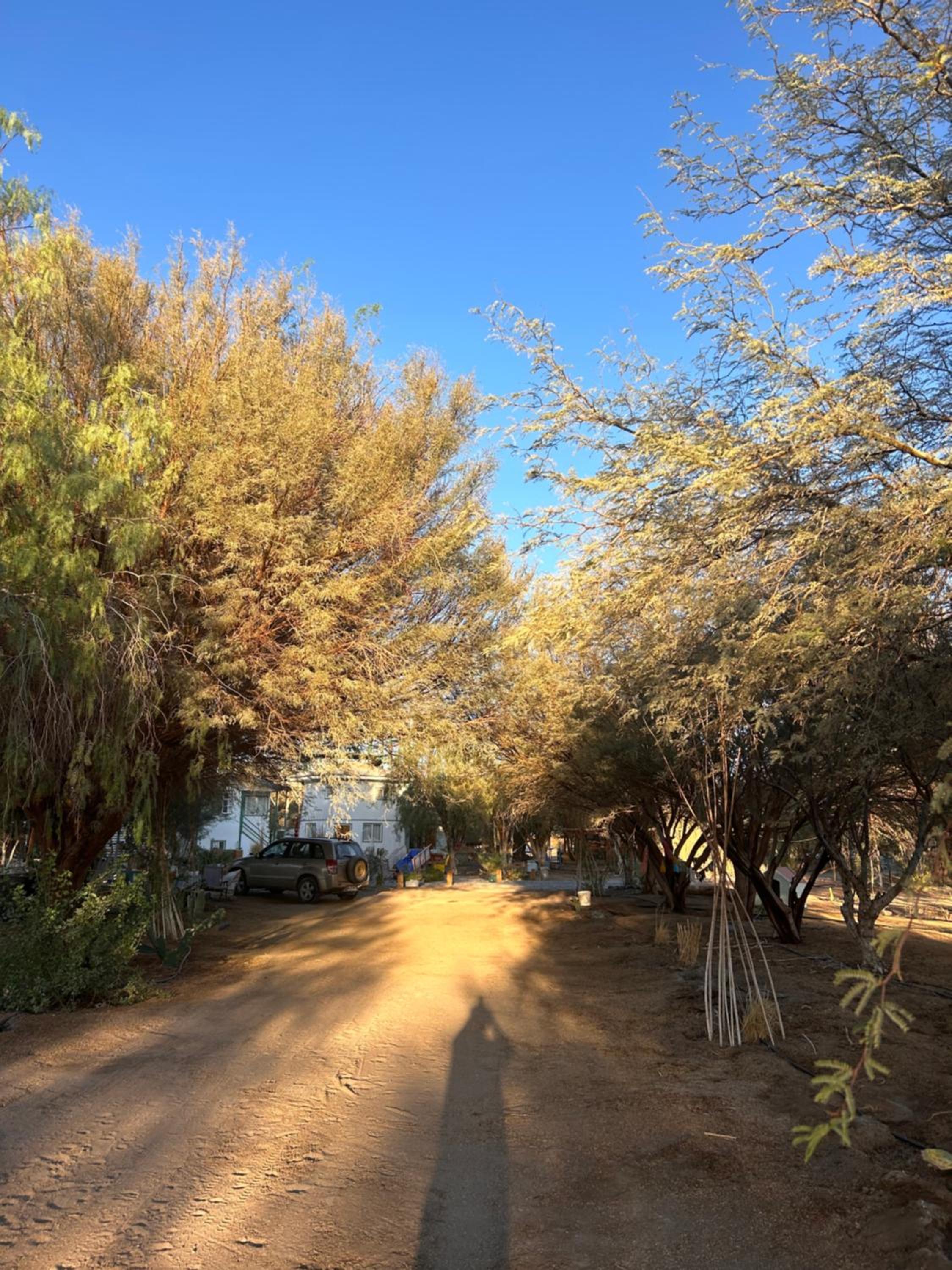 Alojamiento turístico en el desierto de Atacama - Tarapacá - La Tirana - Chile