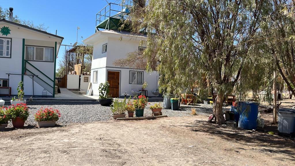 Alojamiento turístico en el desierto de Atacama - Tarapacá - La Tirana - Chile