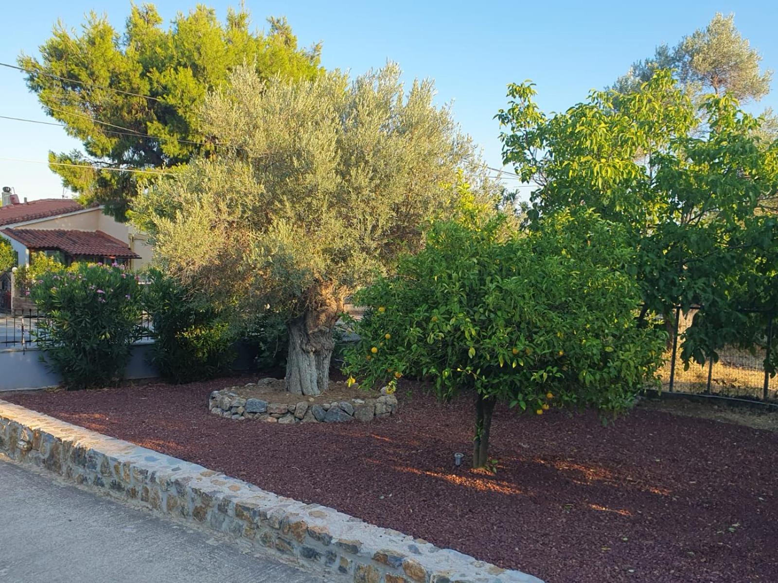 Villa Josefine - With private pool and parking