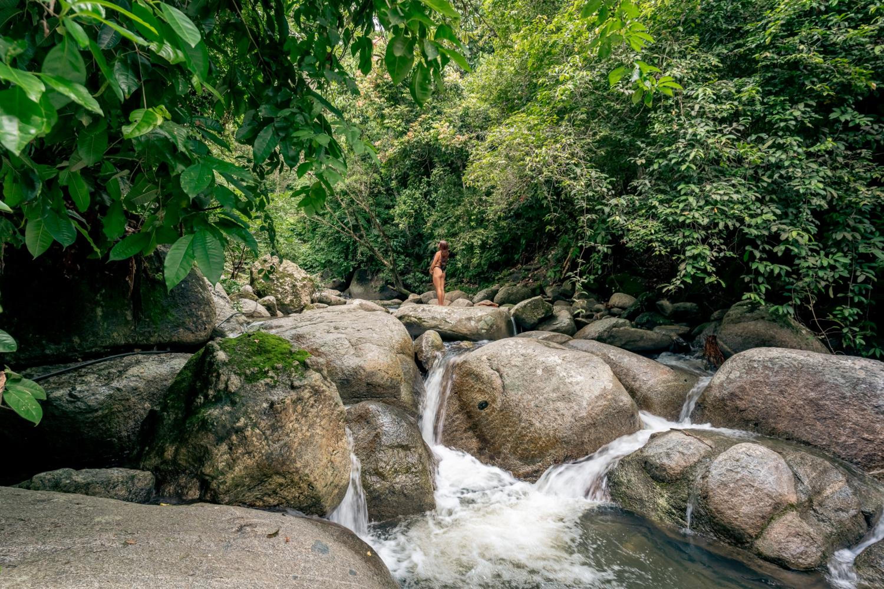 Casa Ñi Tayrona
