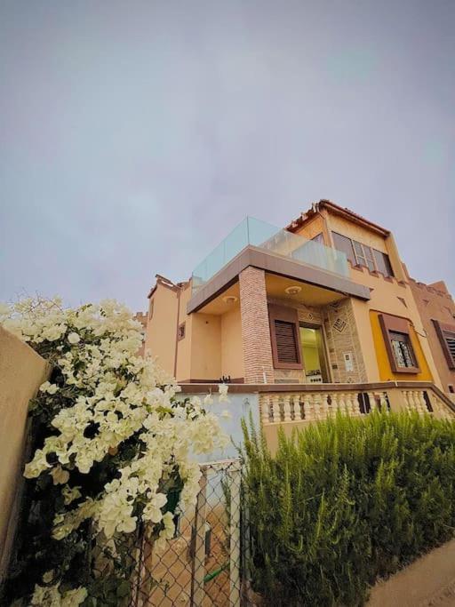 Petite villa palmeraie d Aglou view 3