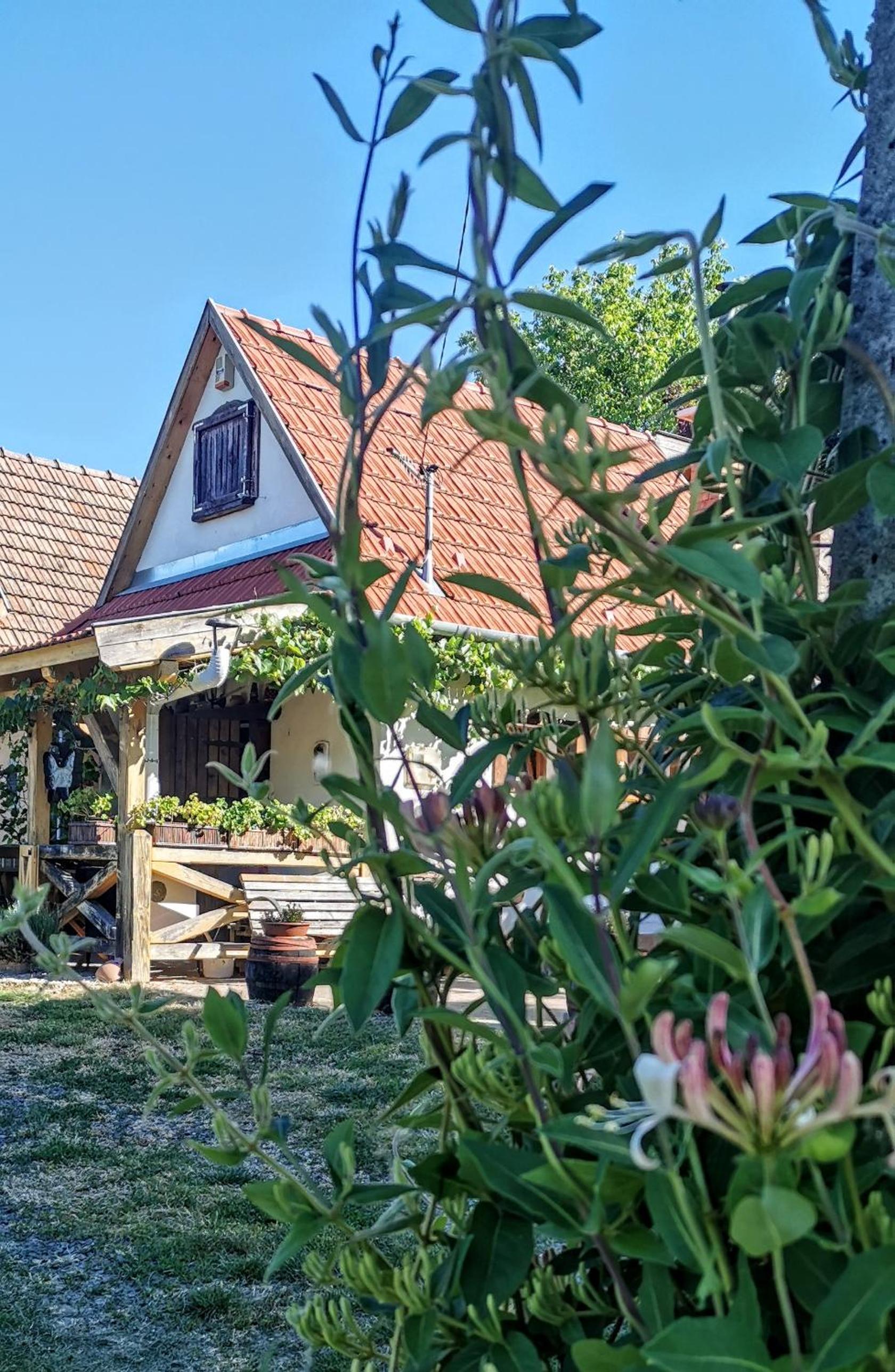 Pillangó Présház