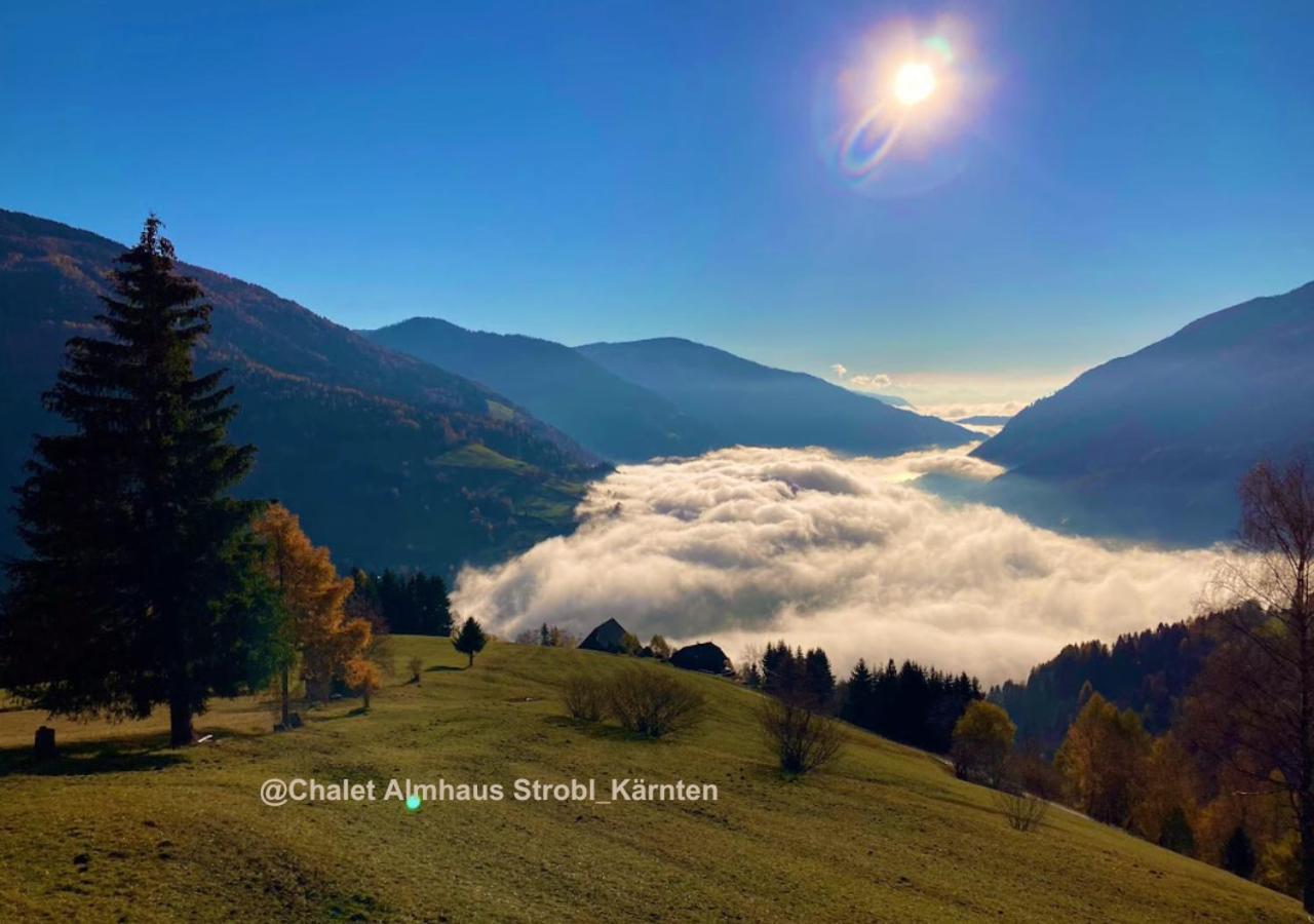 Chalet Almhaus Strobl