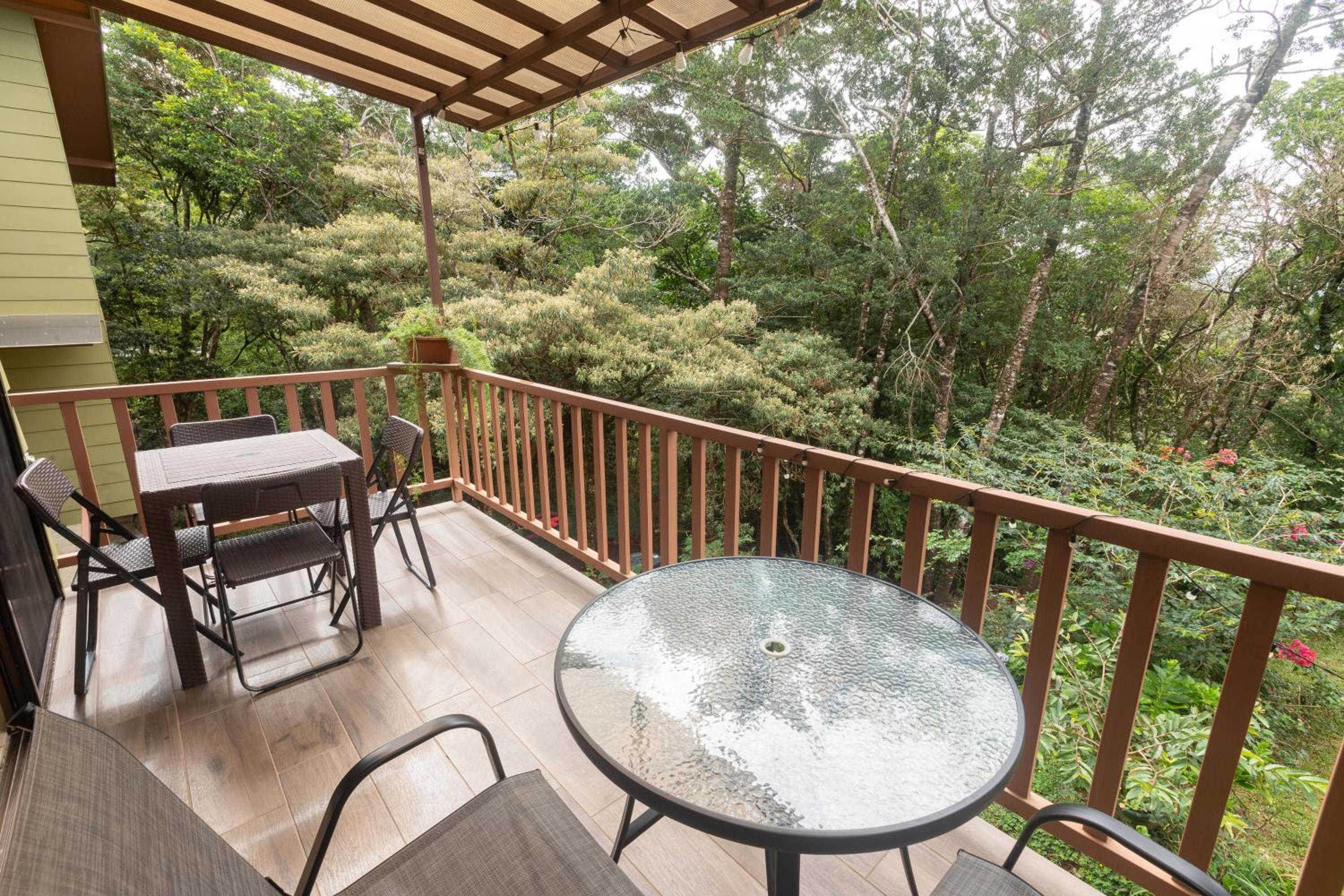 Casas Clusia