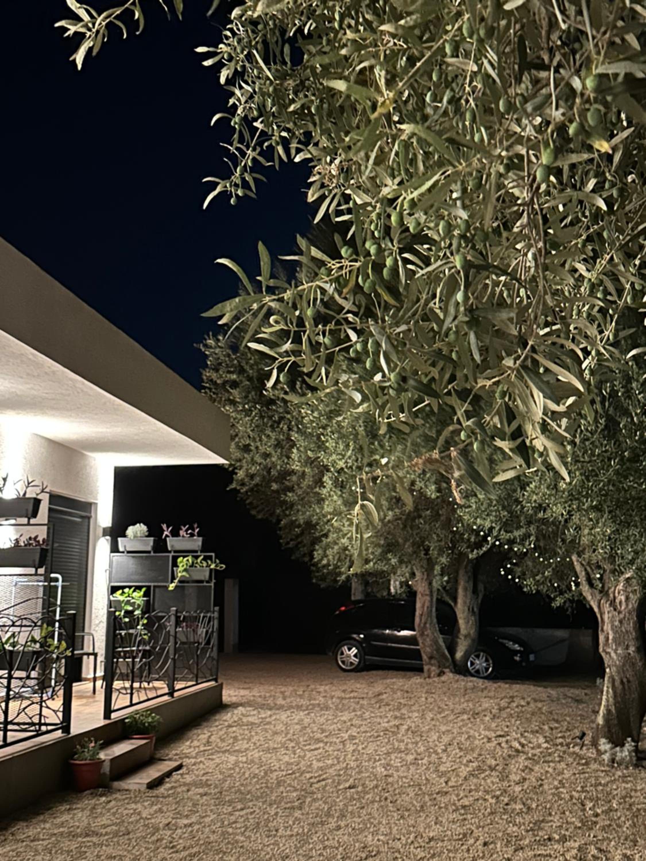 Villa Shega