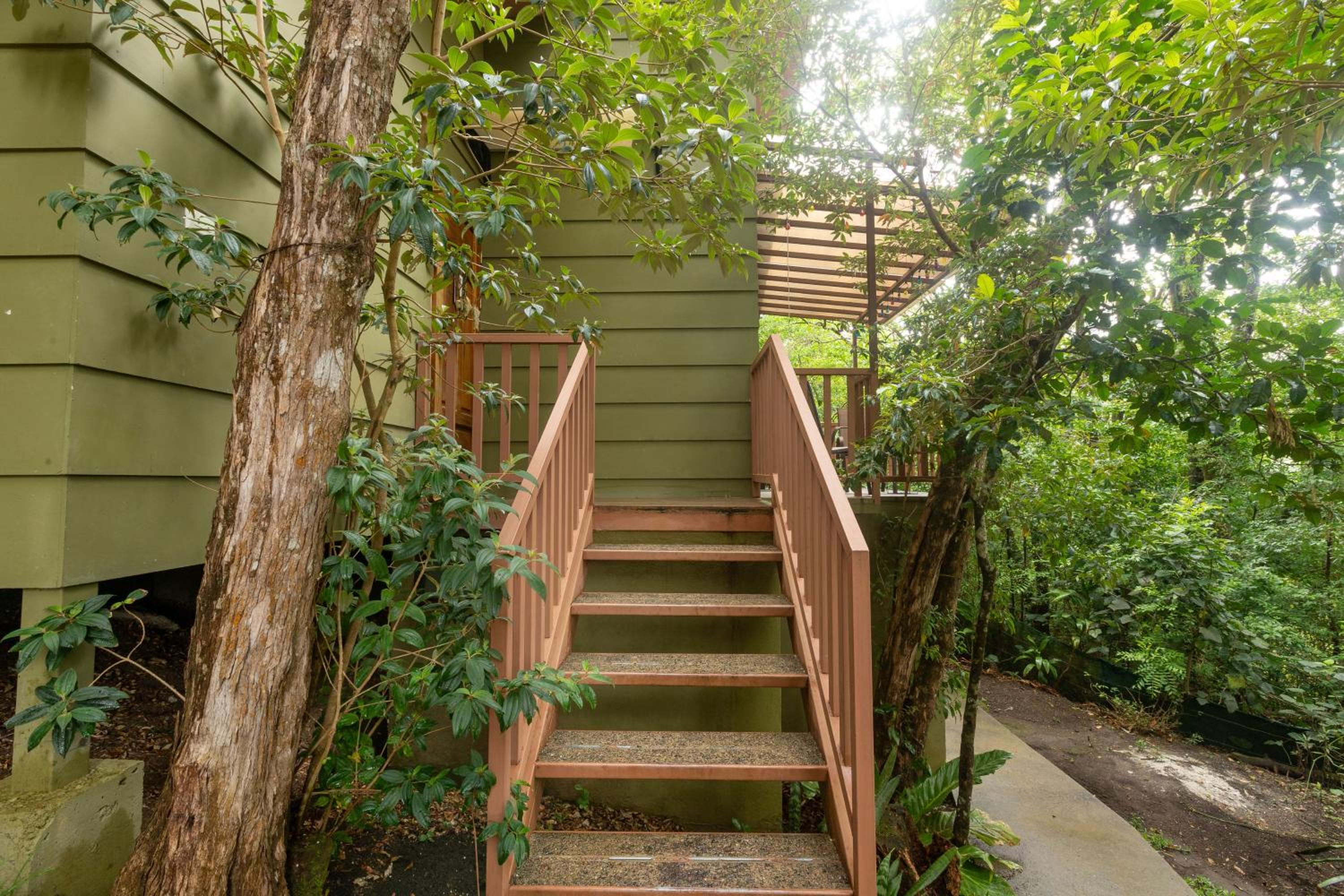 Casas Clusia