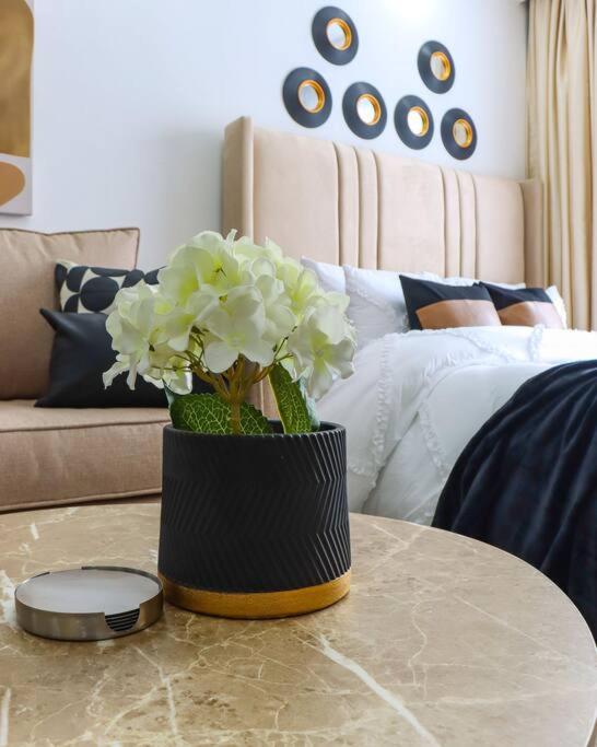 Elegant Lovely studio Apartment