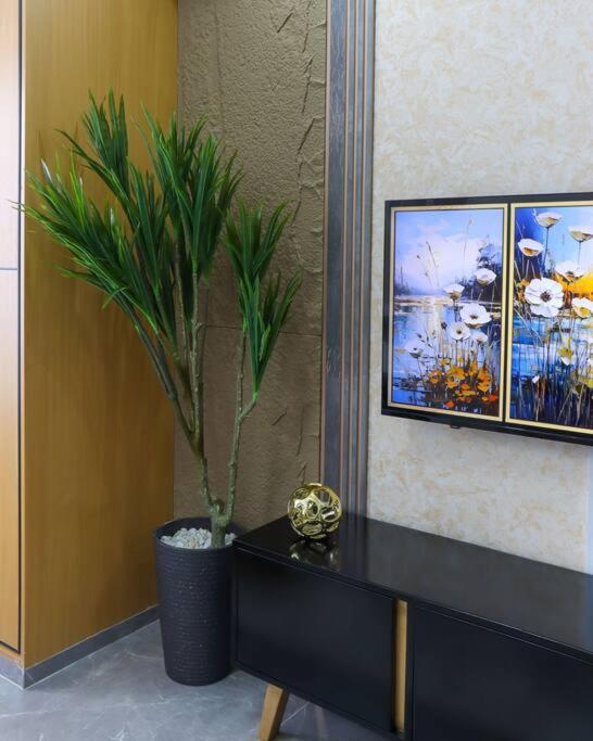 Elegant Lovely studio Apartment