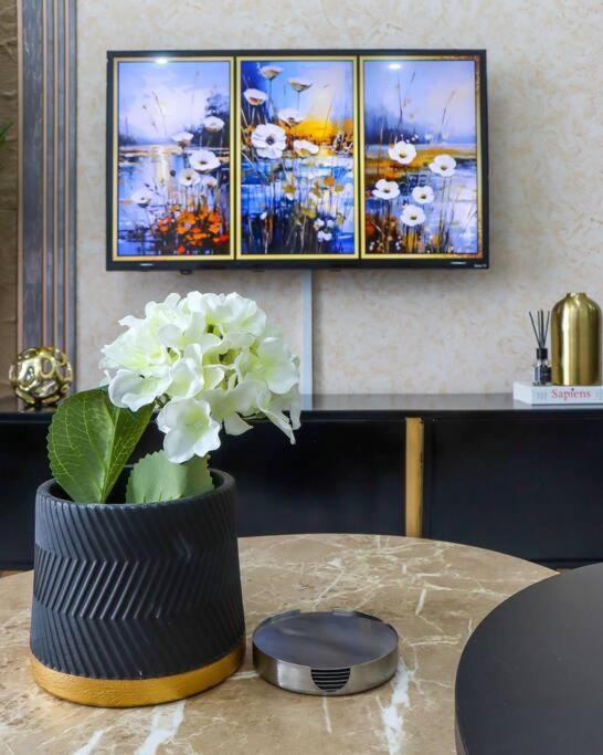 Elegant Lovely studio Apartment