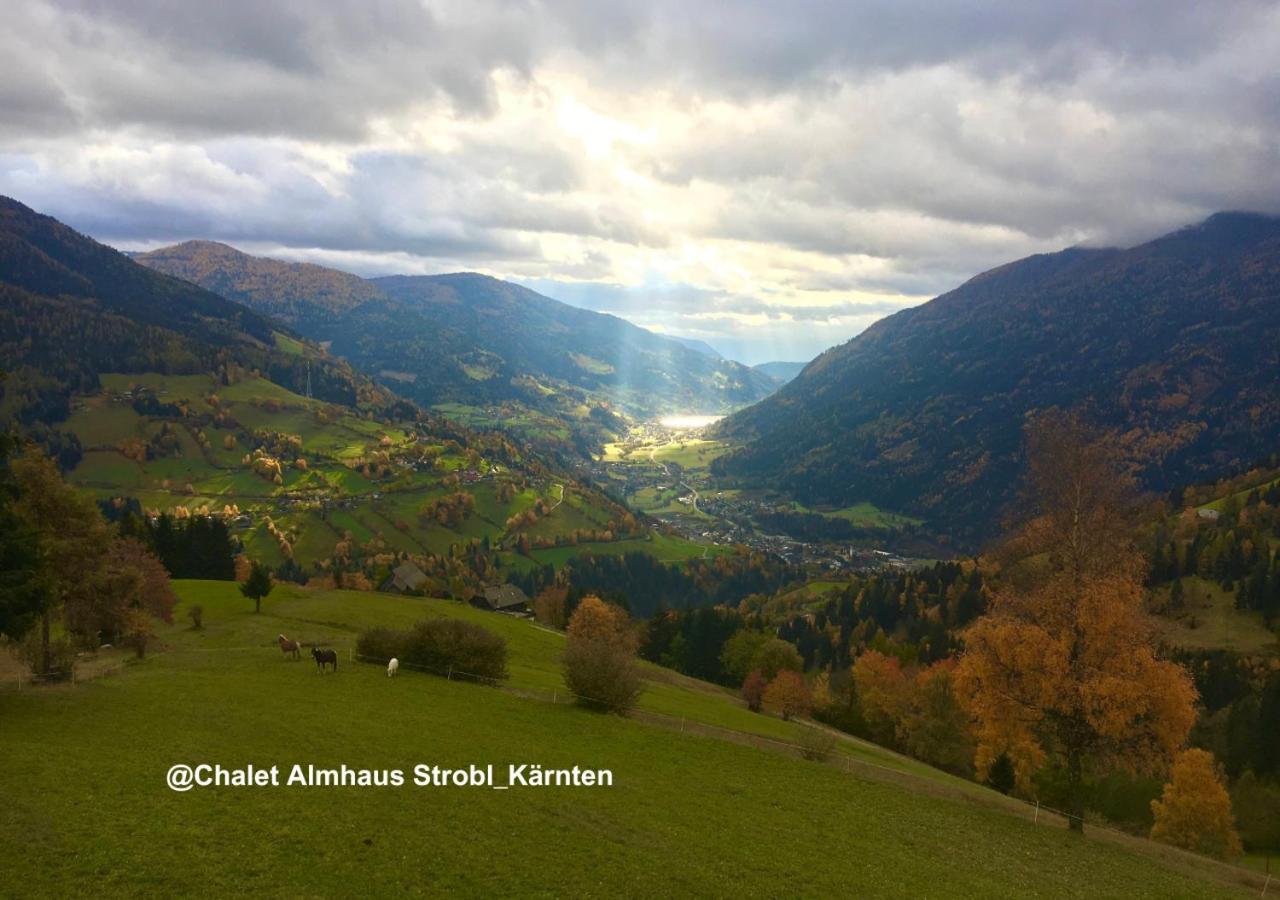 Chalet Almhaus Strobl