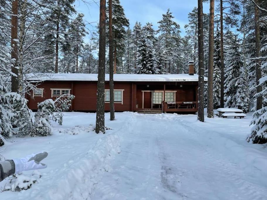 Villairene Palace! SPACIOUS VILLA NEAR TURKU