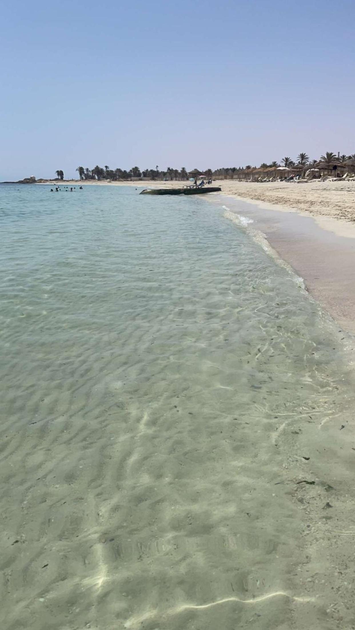 Midoun Vacations - Villa - Tunisie Djerba - Property Image 11