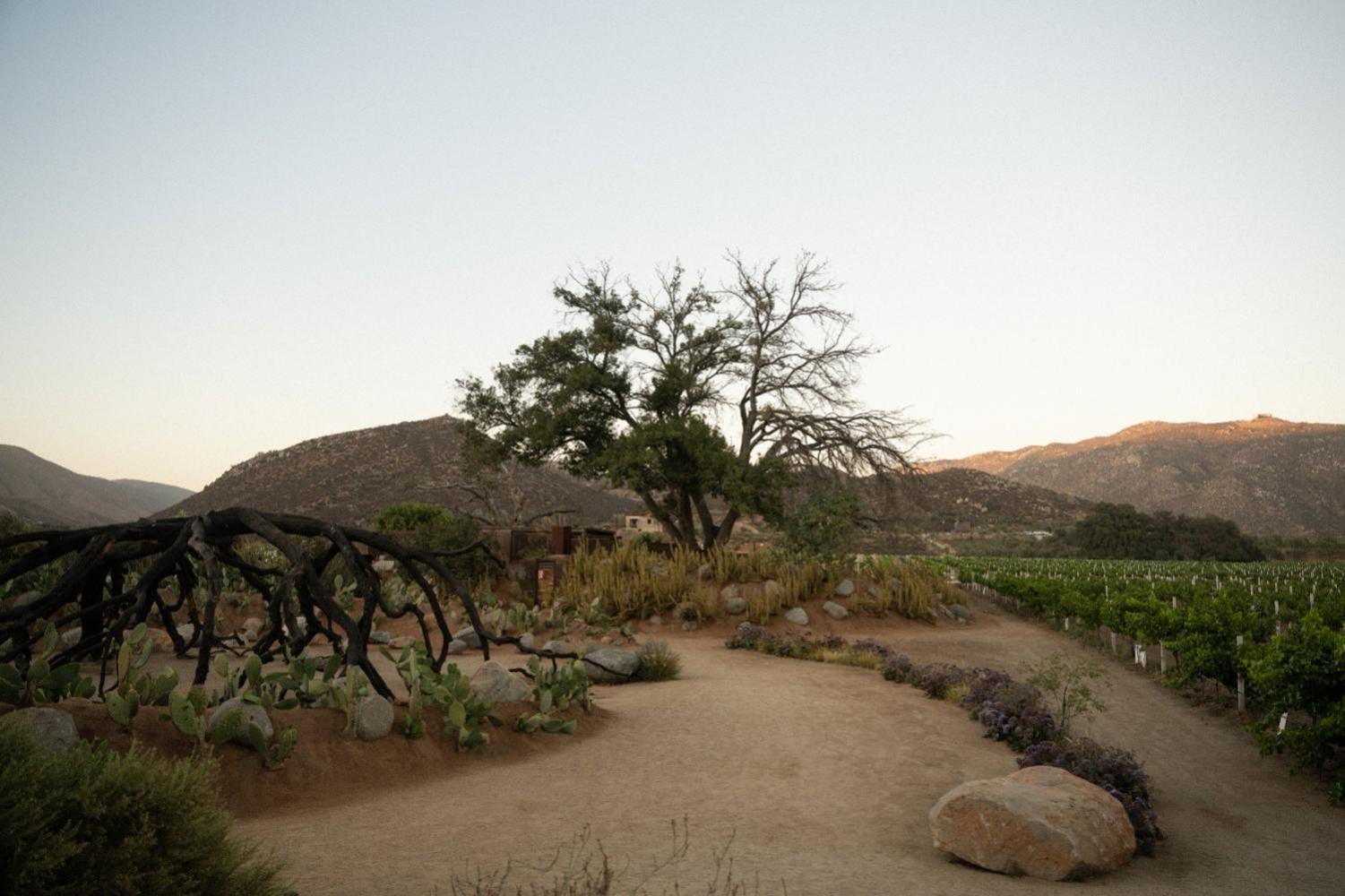 Ensenada Vacations - Bruma Wine Resort - Property Image 10
