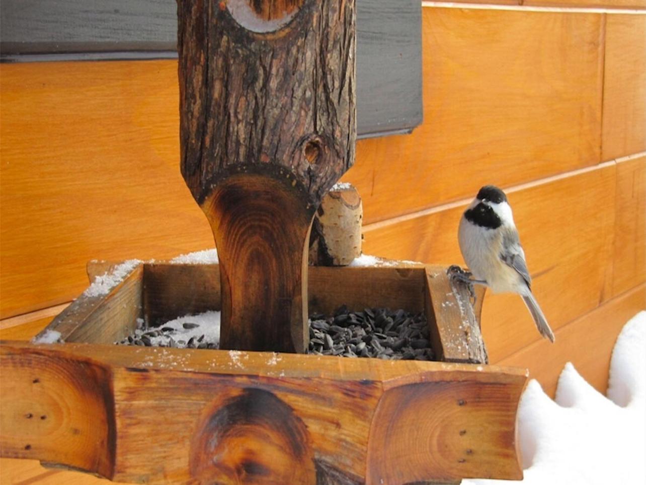 Terrasses Kedros Hot tub & Fireplace, cozy Chalet