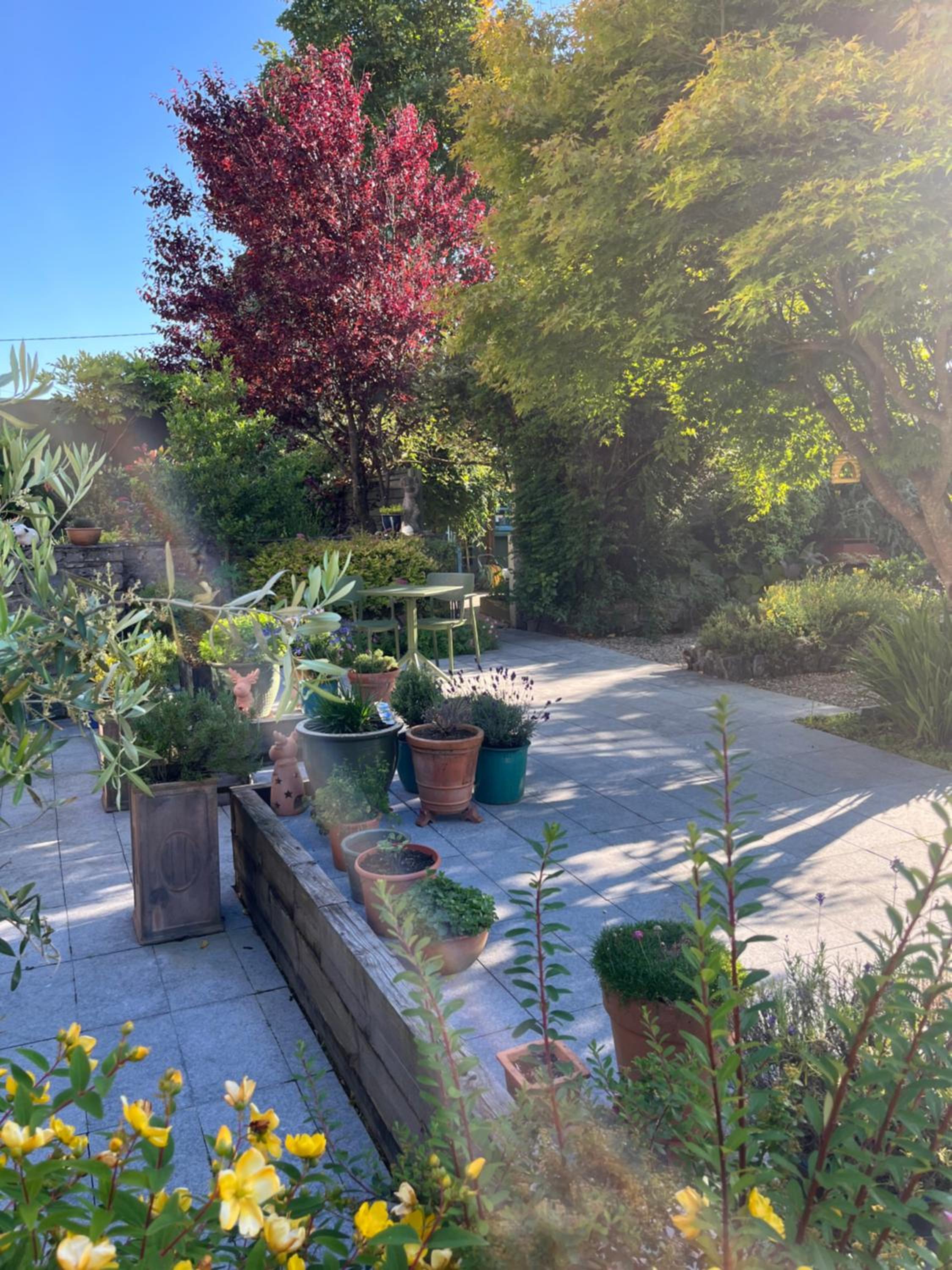 Wild Honey Inn view 4