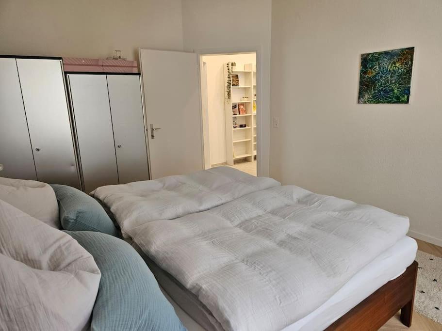 New 2 BR Apartment - 15min from Paradeplatz