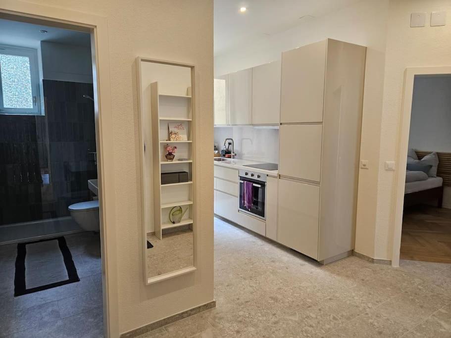 New 2 BR Apartment - 15min from Paradeplatz